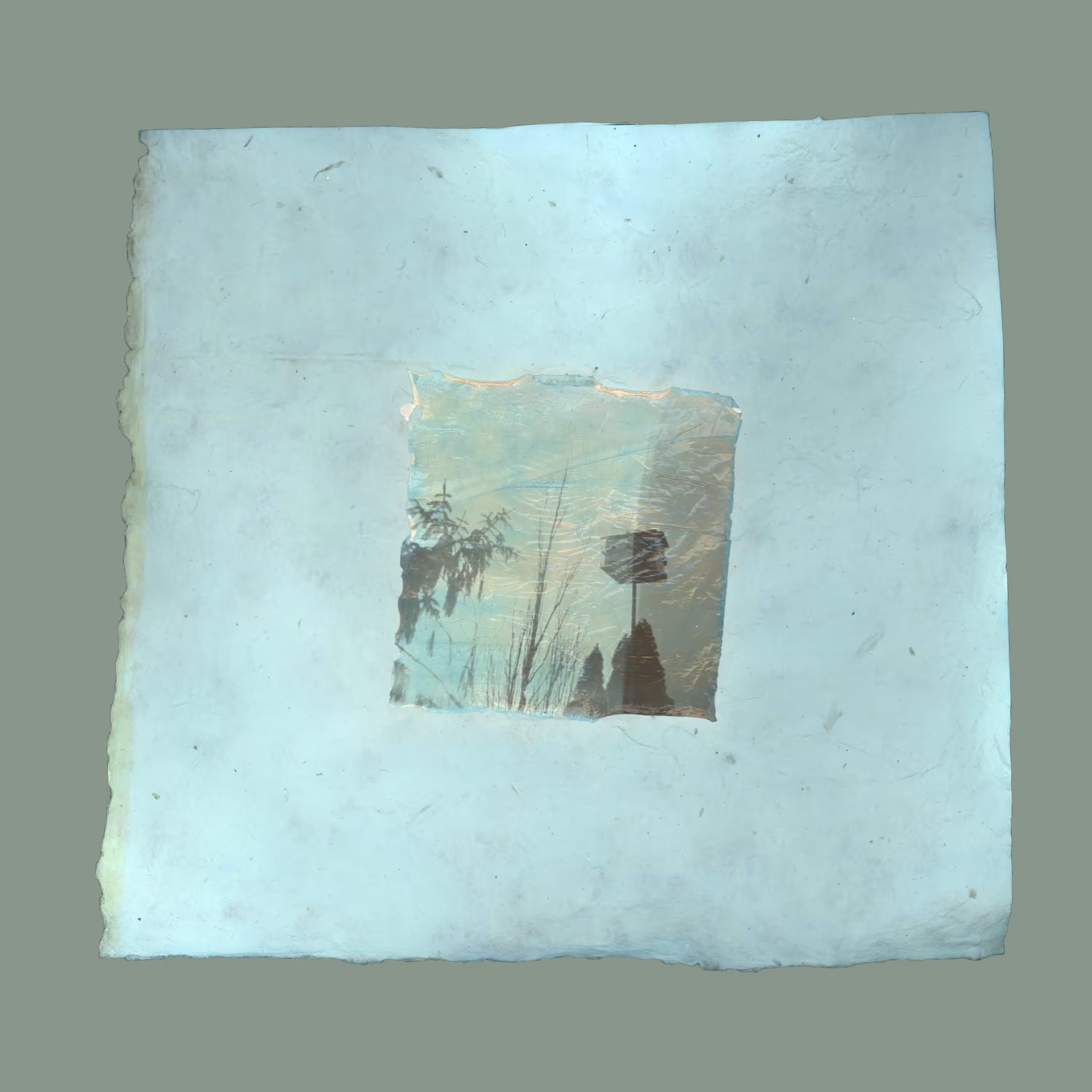 Emulsion Lift 1