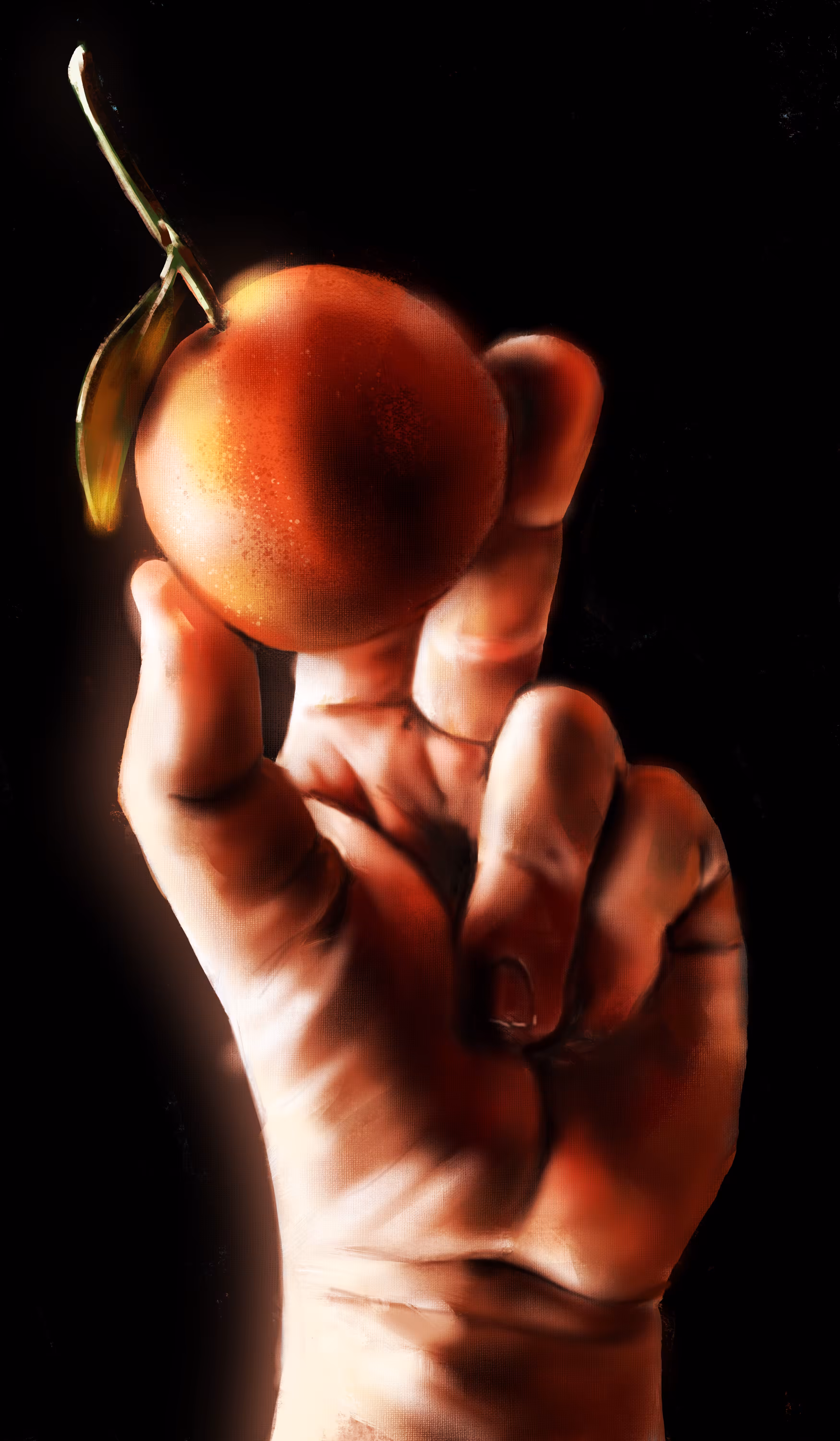 THE FRUIT