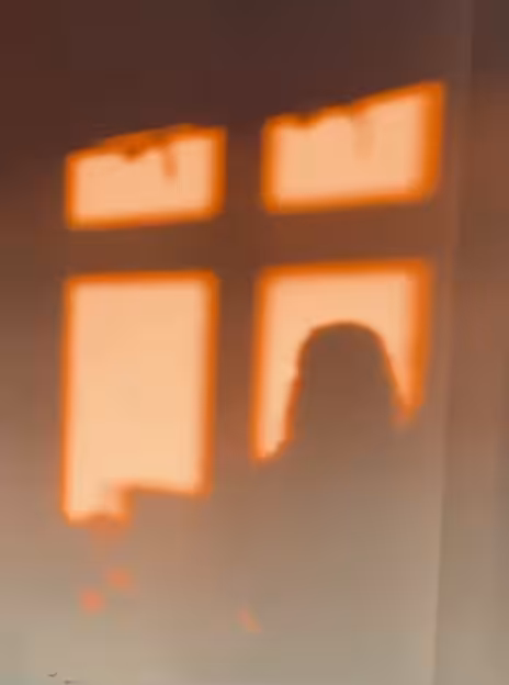 Shadows