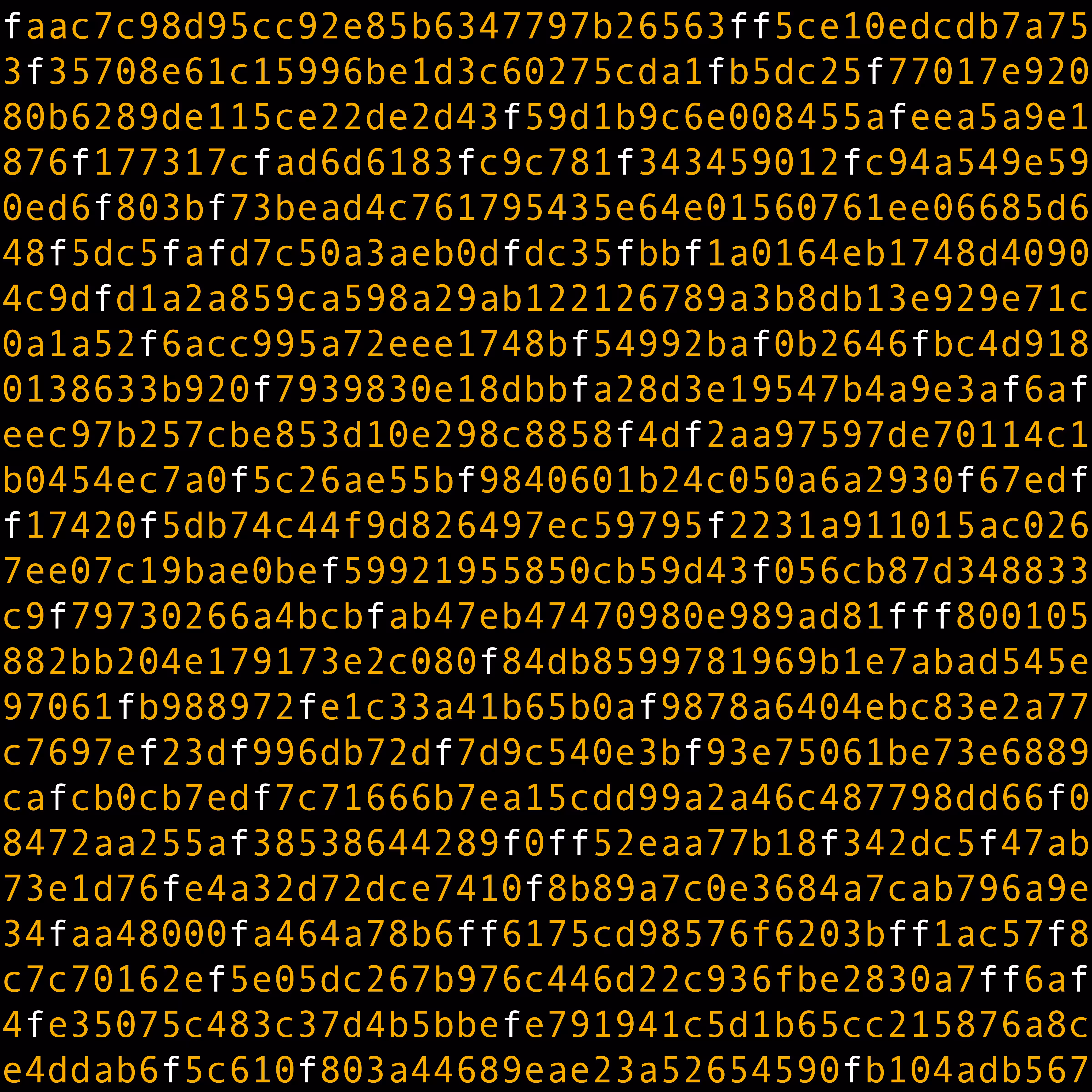 1111 #0155
