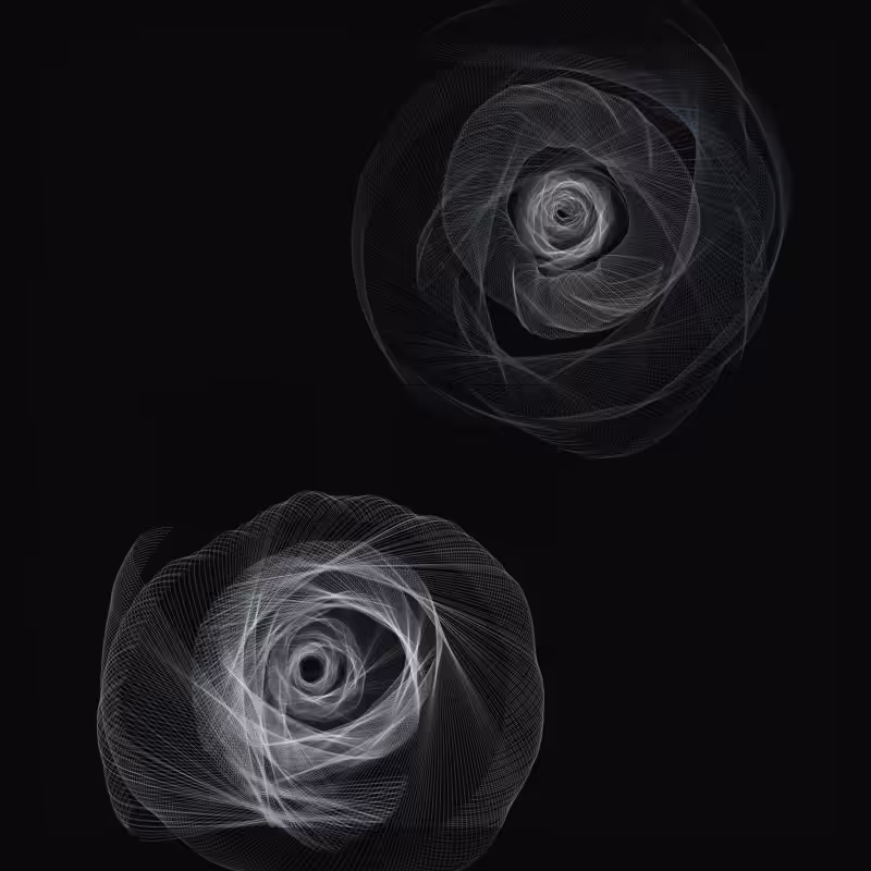 Blooming dancers #26
