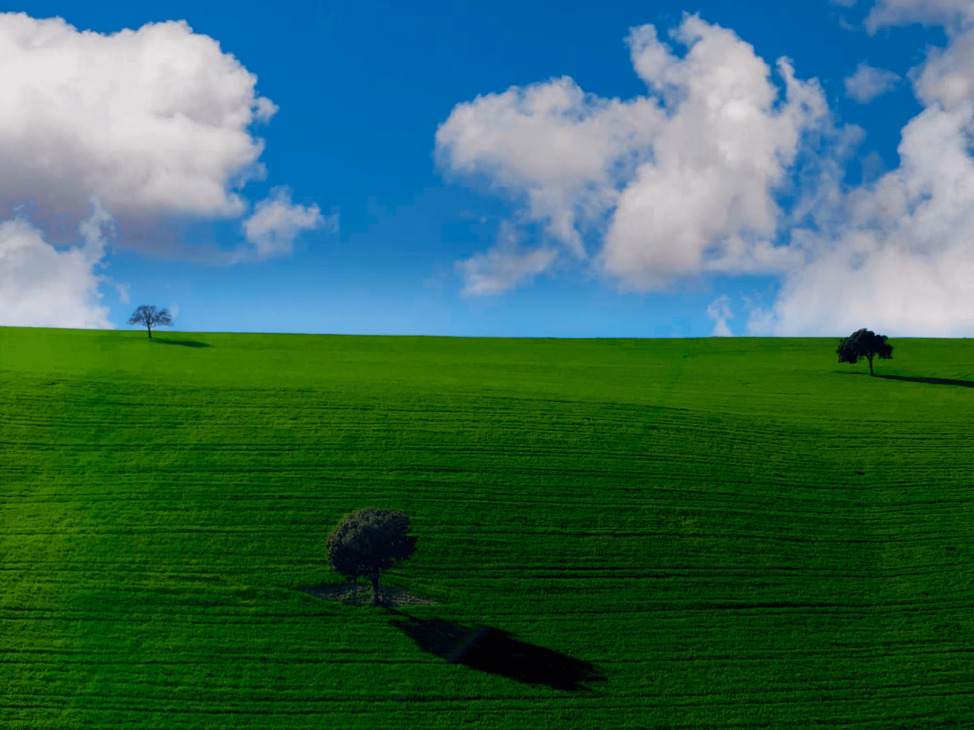 windows wallpaper