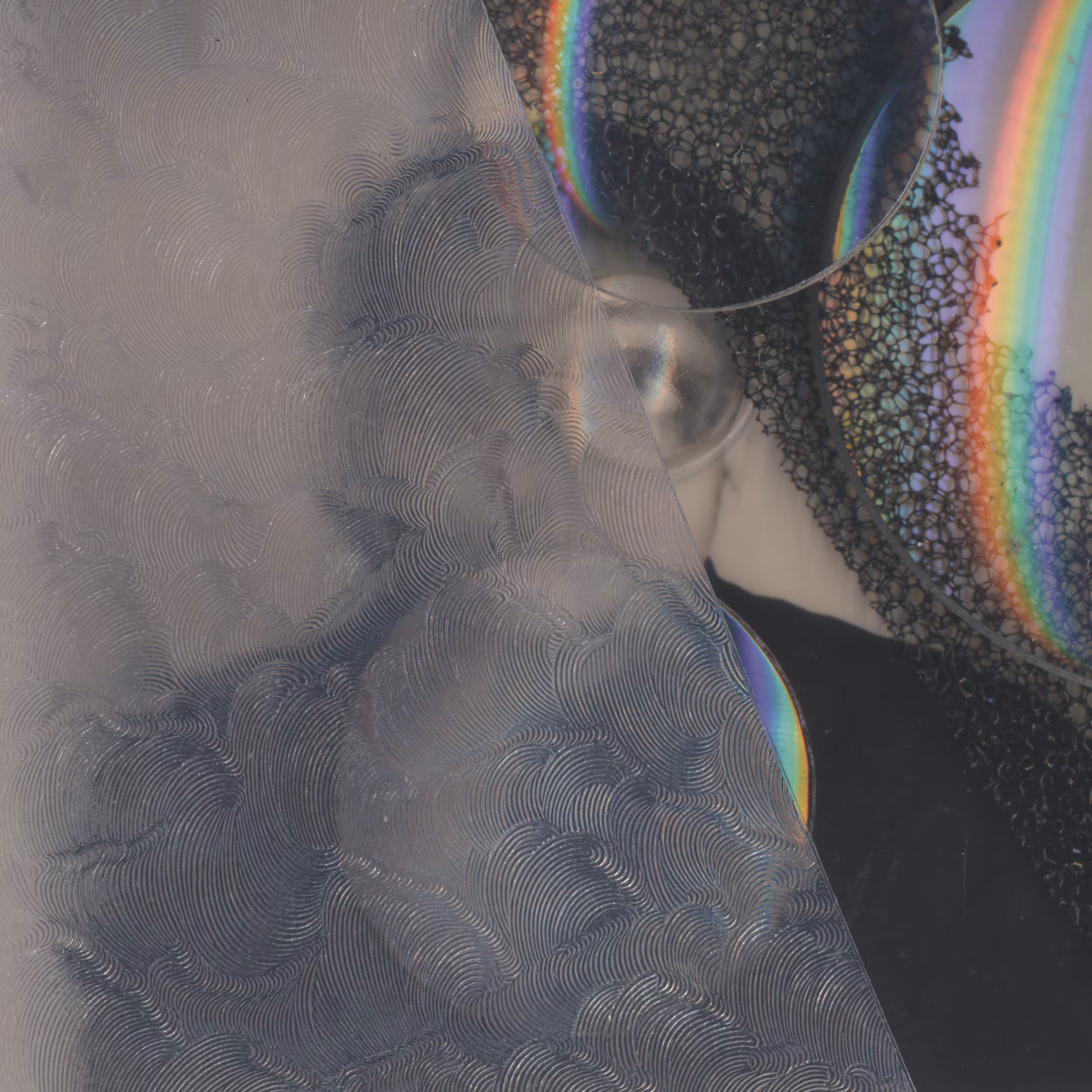 Pseudonym whipser (Privacy Portraits)