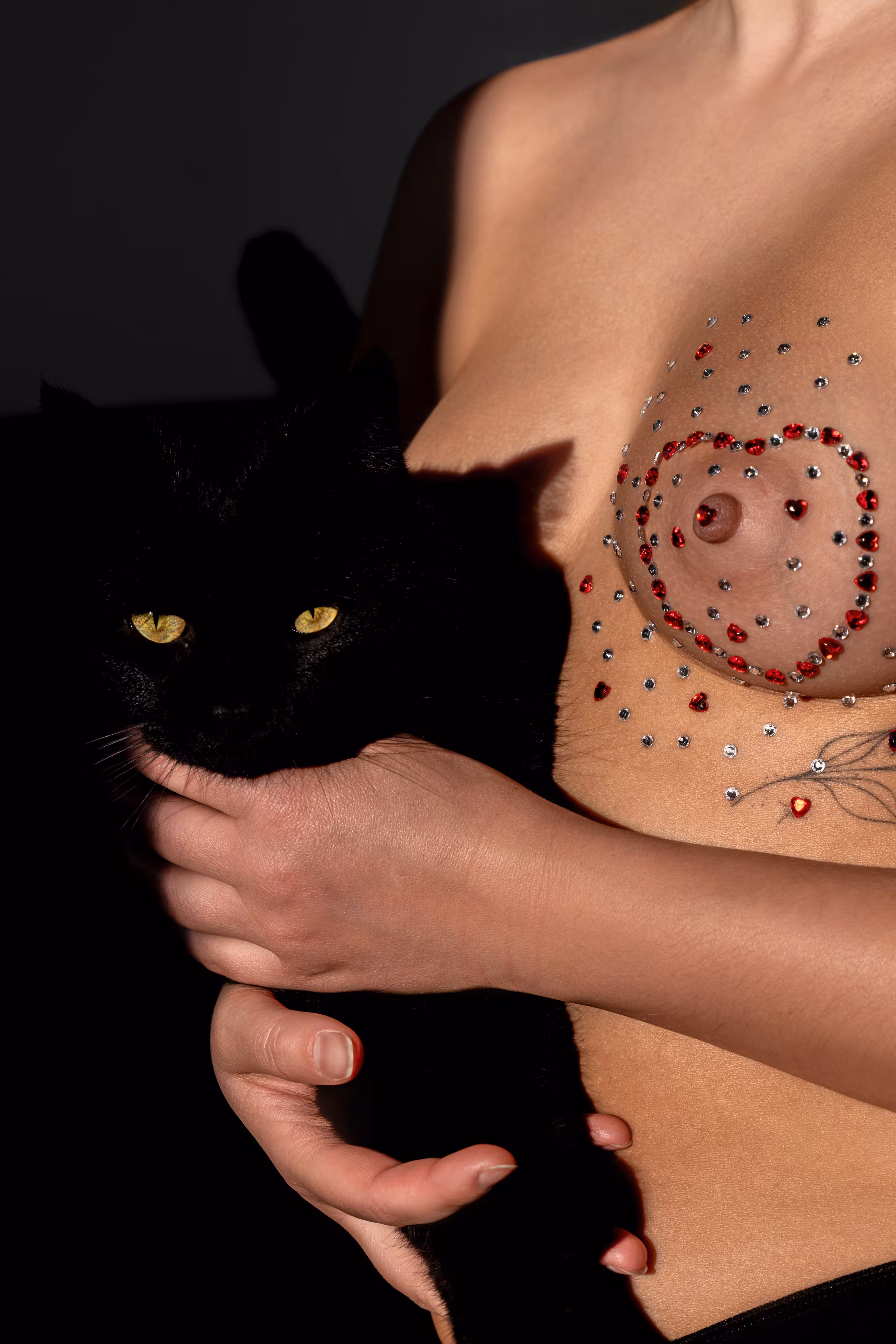 The Black Cat Loves You 