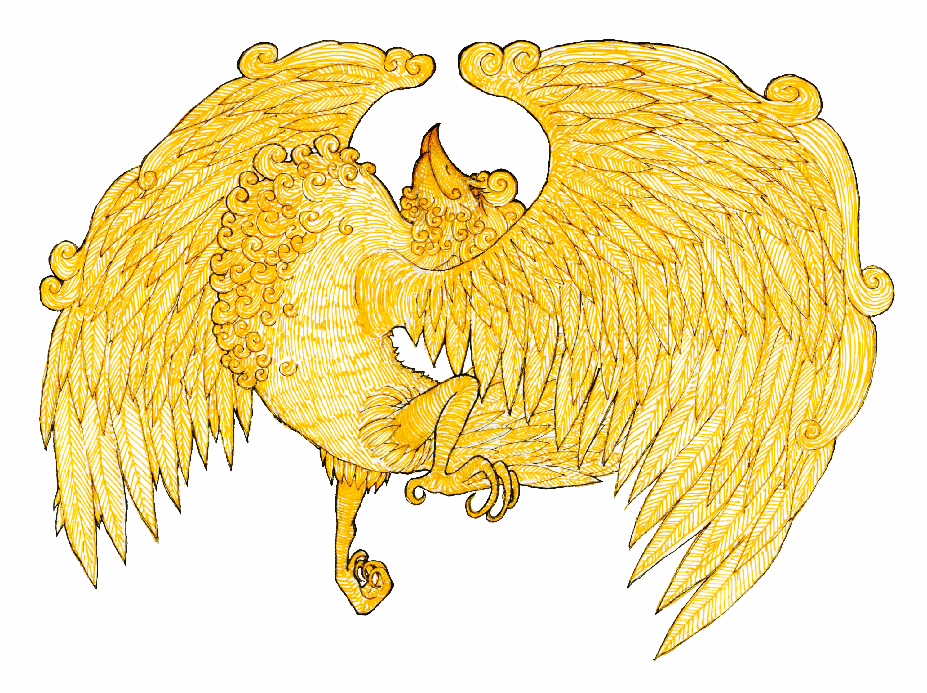 Proud Phoenix