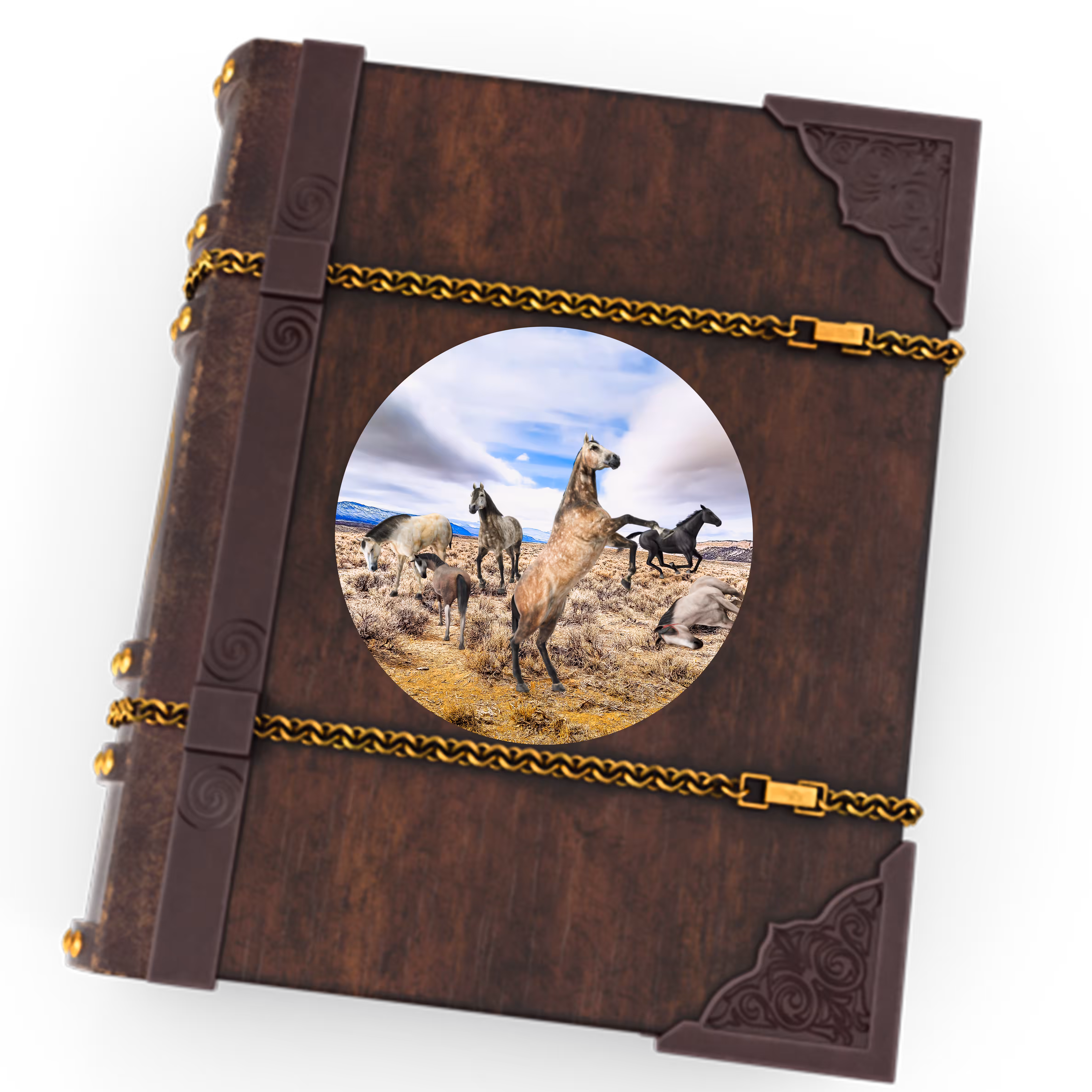 Storytime 6 : Horsing Around