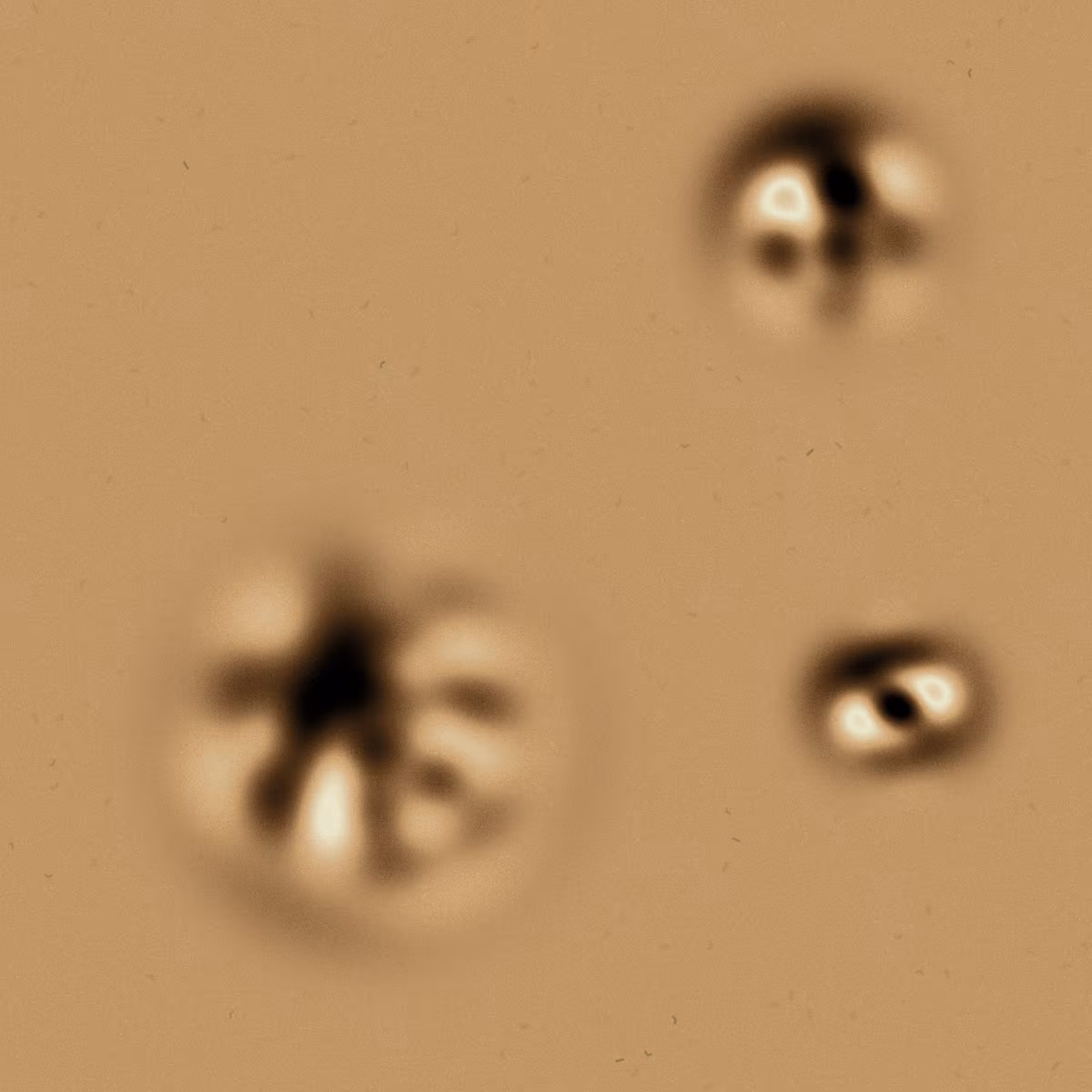 Quantum Collapses #295