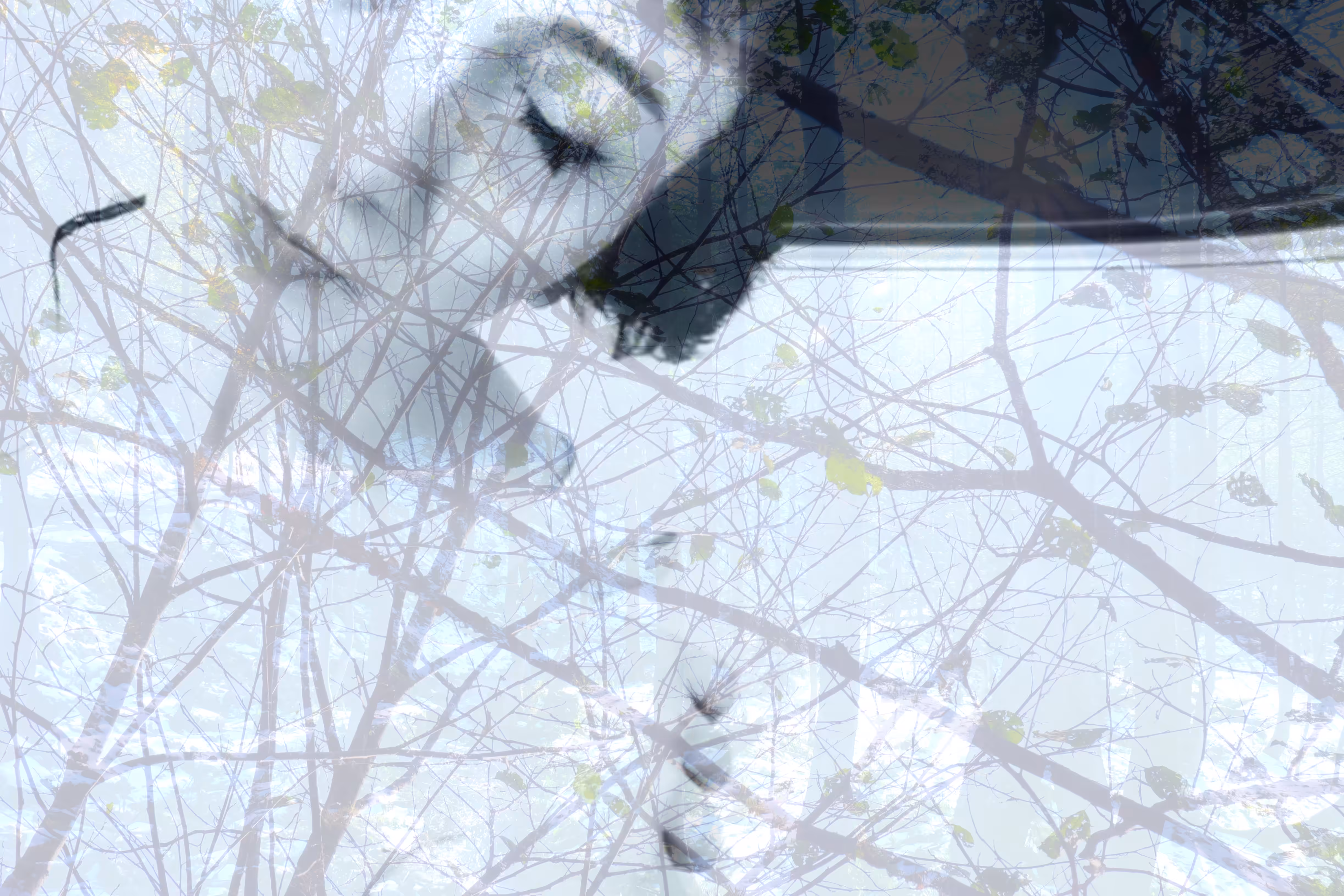 the leaf inside me