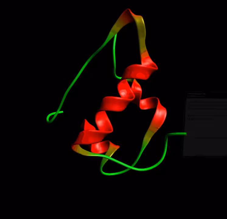 Human Insulin Peptide Hormone fan art