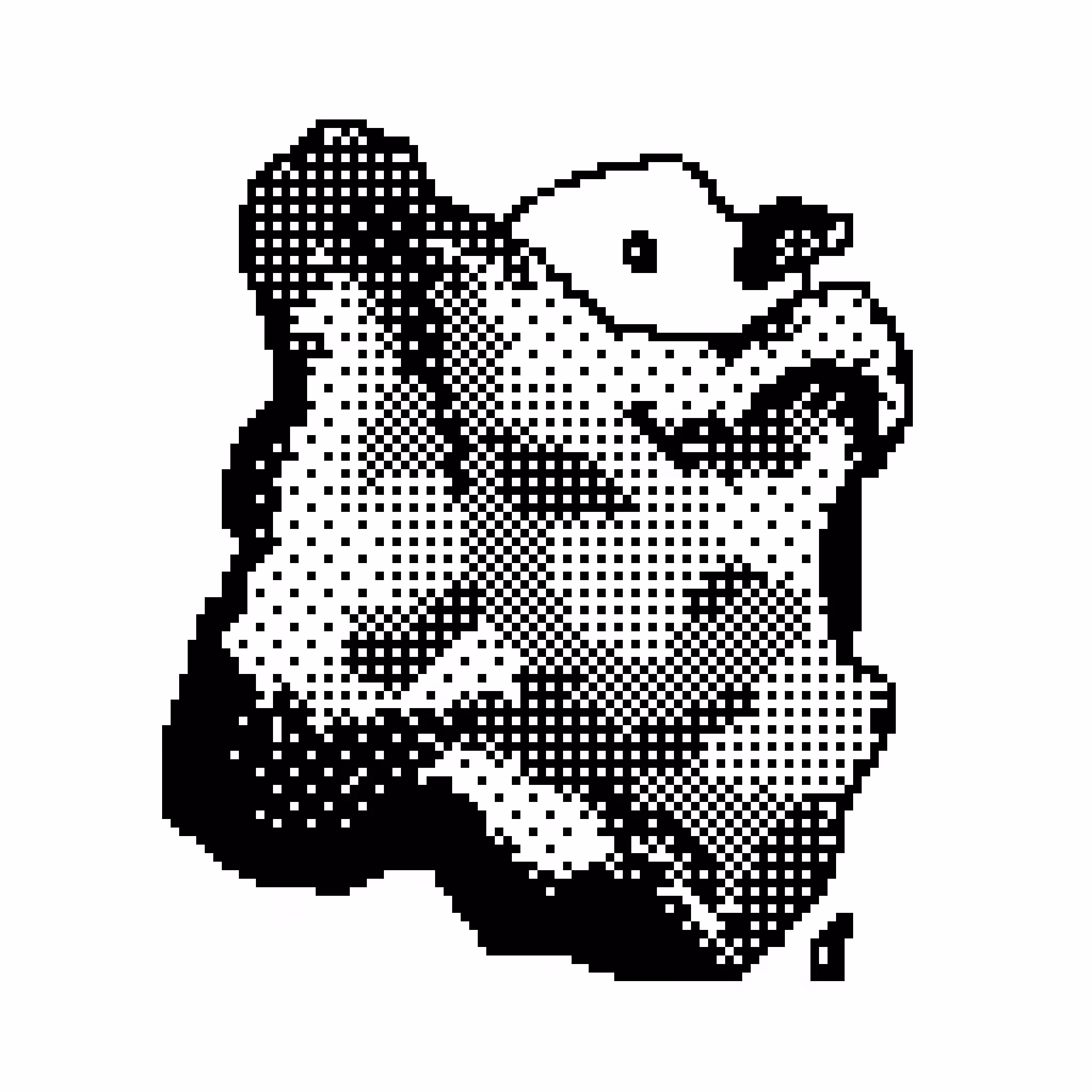 the Duck