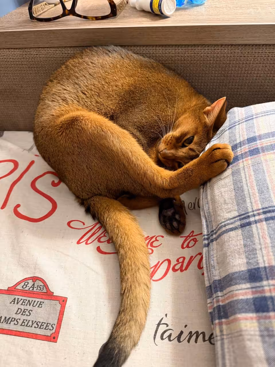 I need to rest!