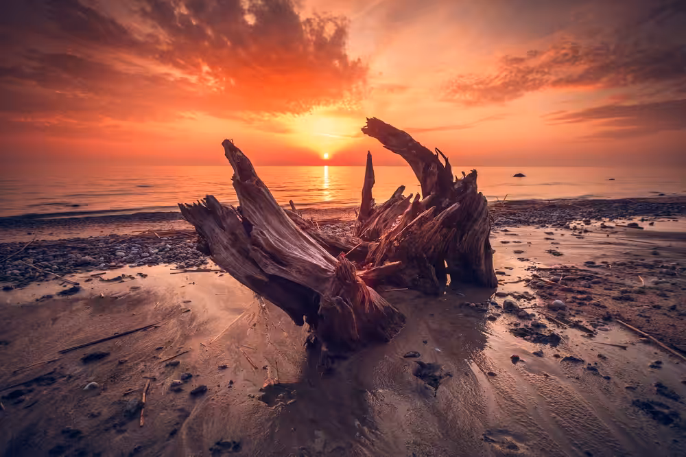 To fly into sunset