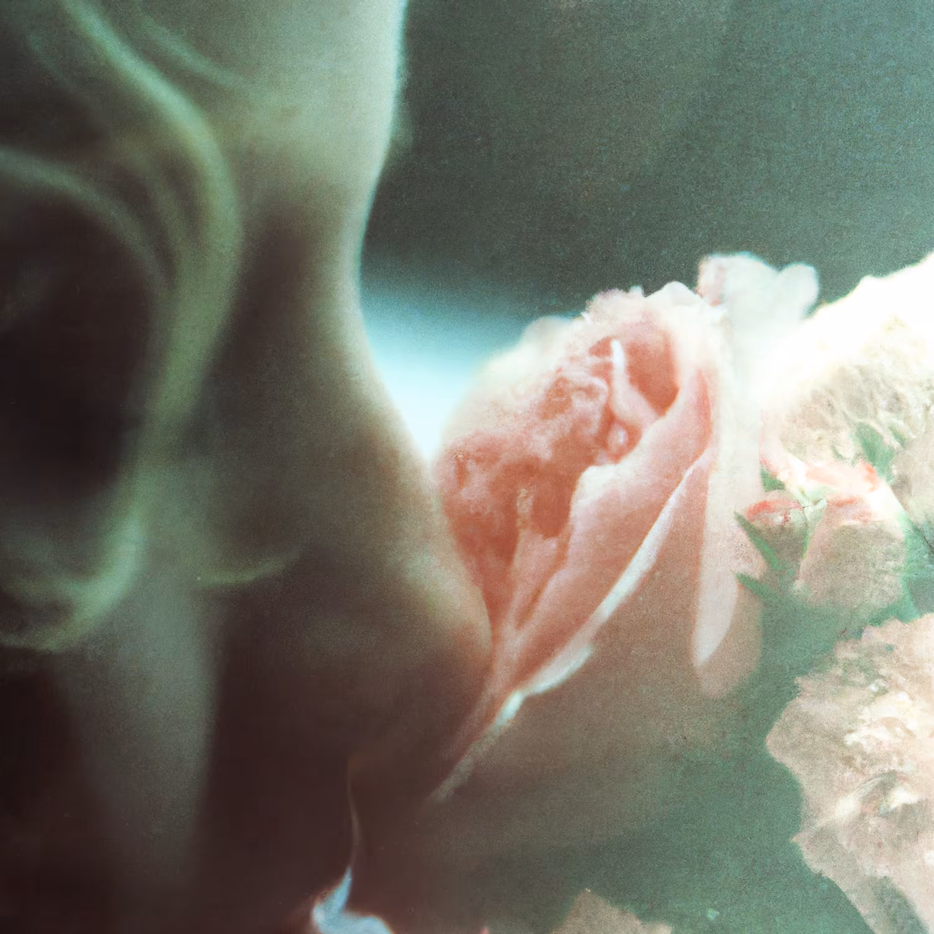 Stop and Smell the Roses