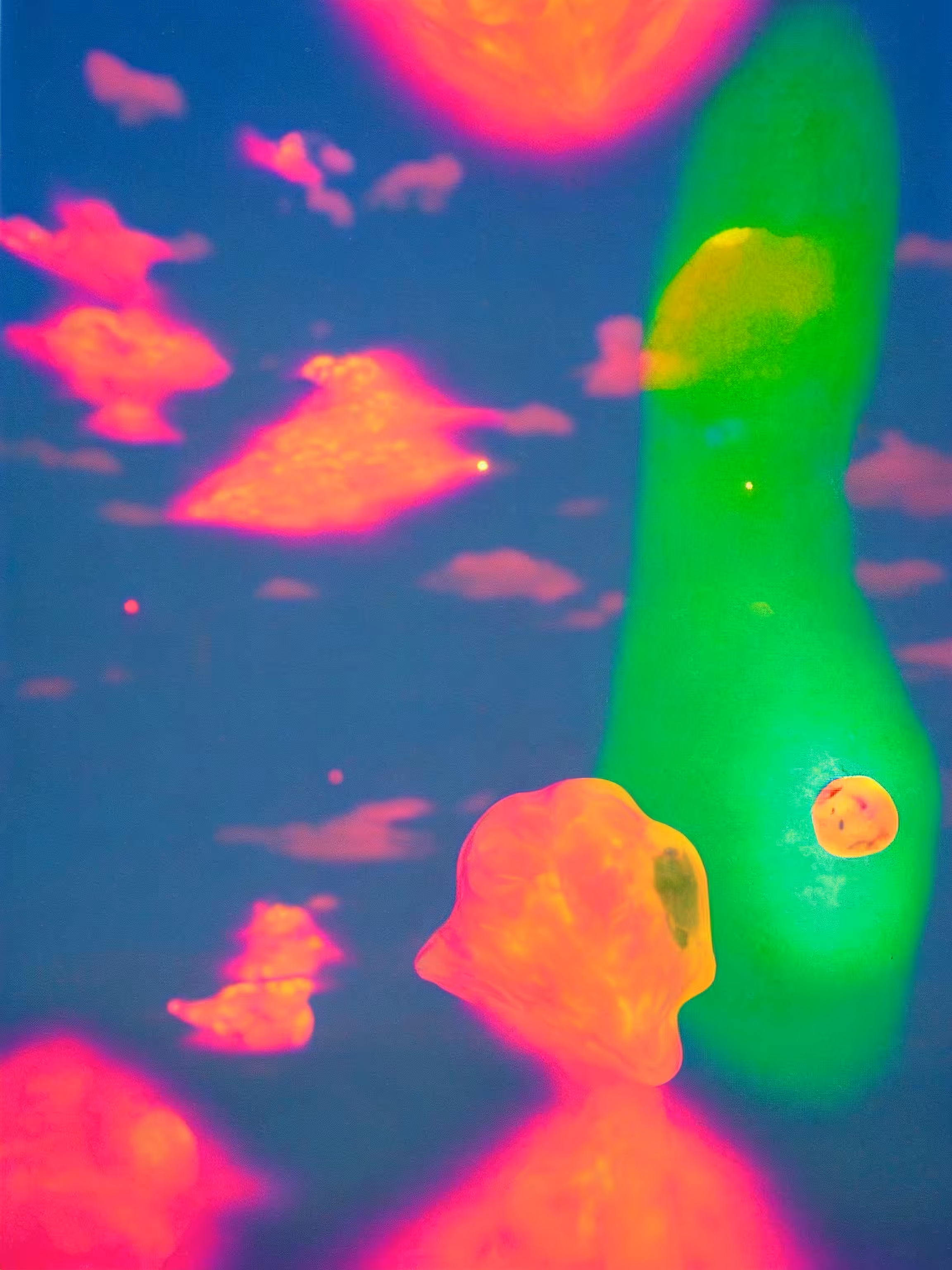 Year of the Jellyfish #7