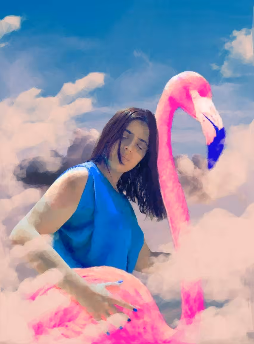 I and the Flamingo