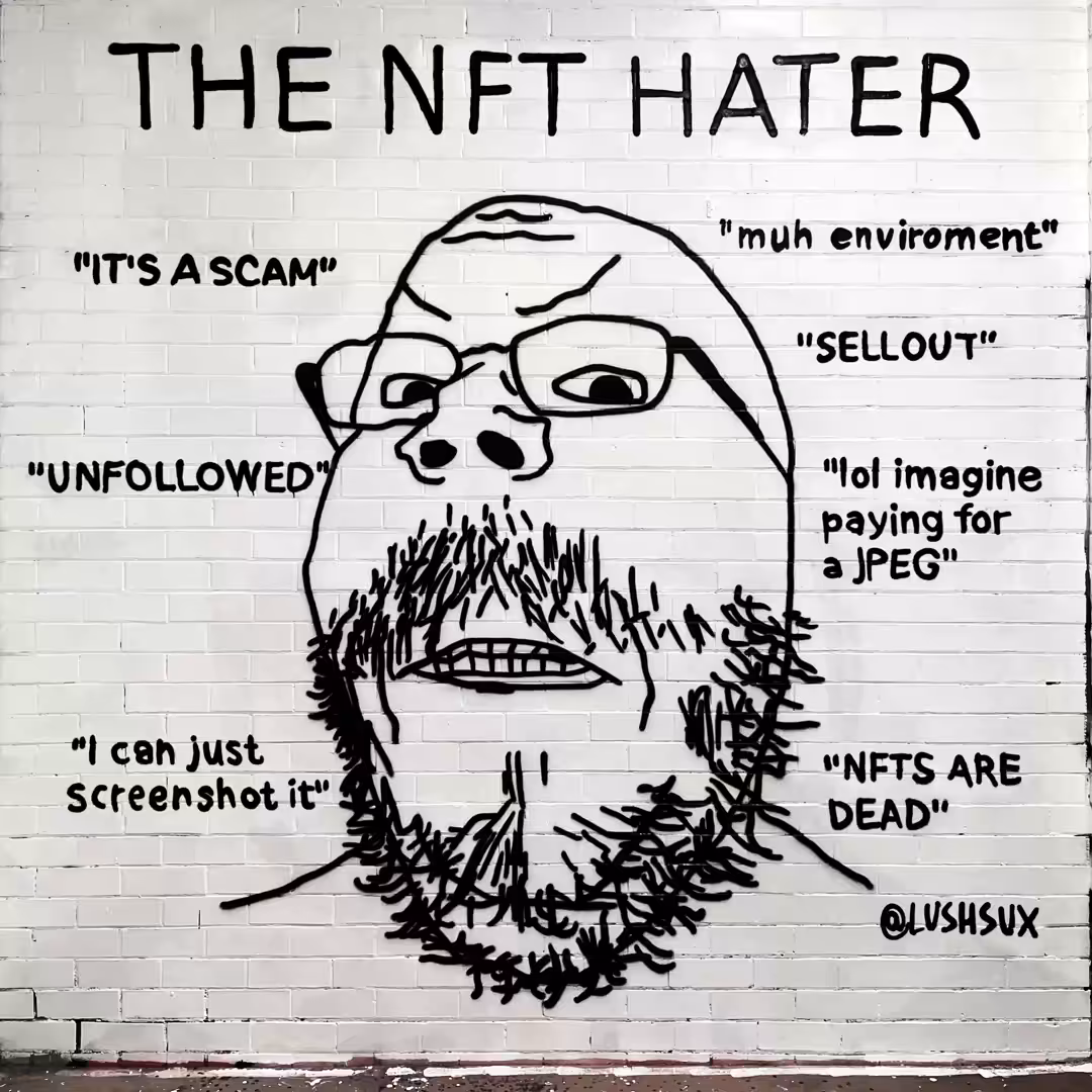THE NFT HATER