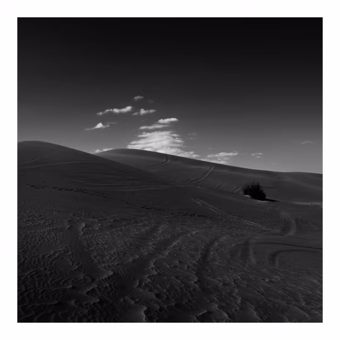 Desert Alone