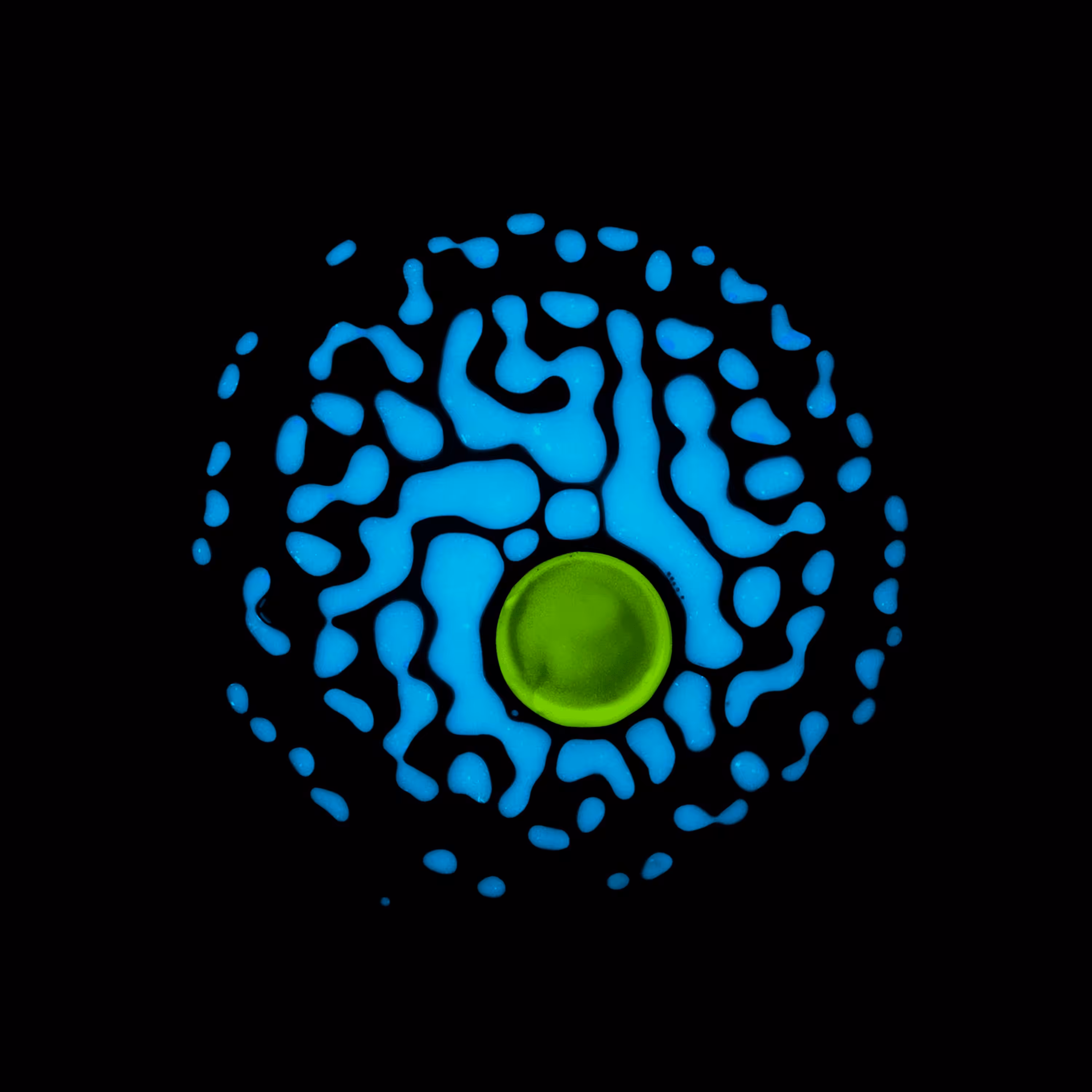 Haematopoiesis #65