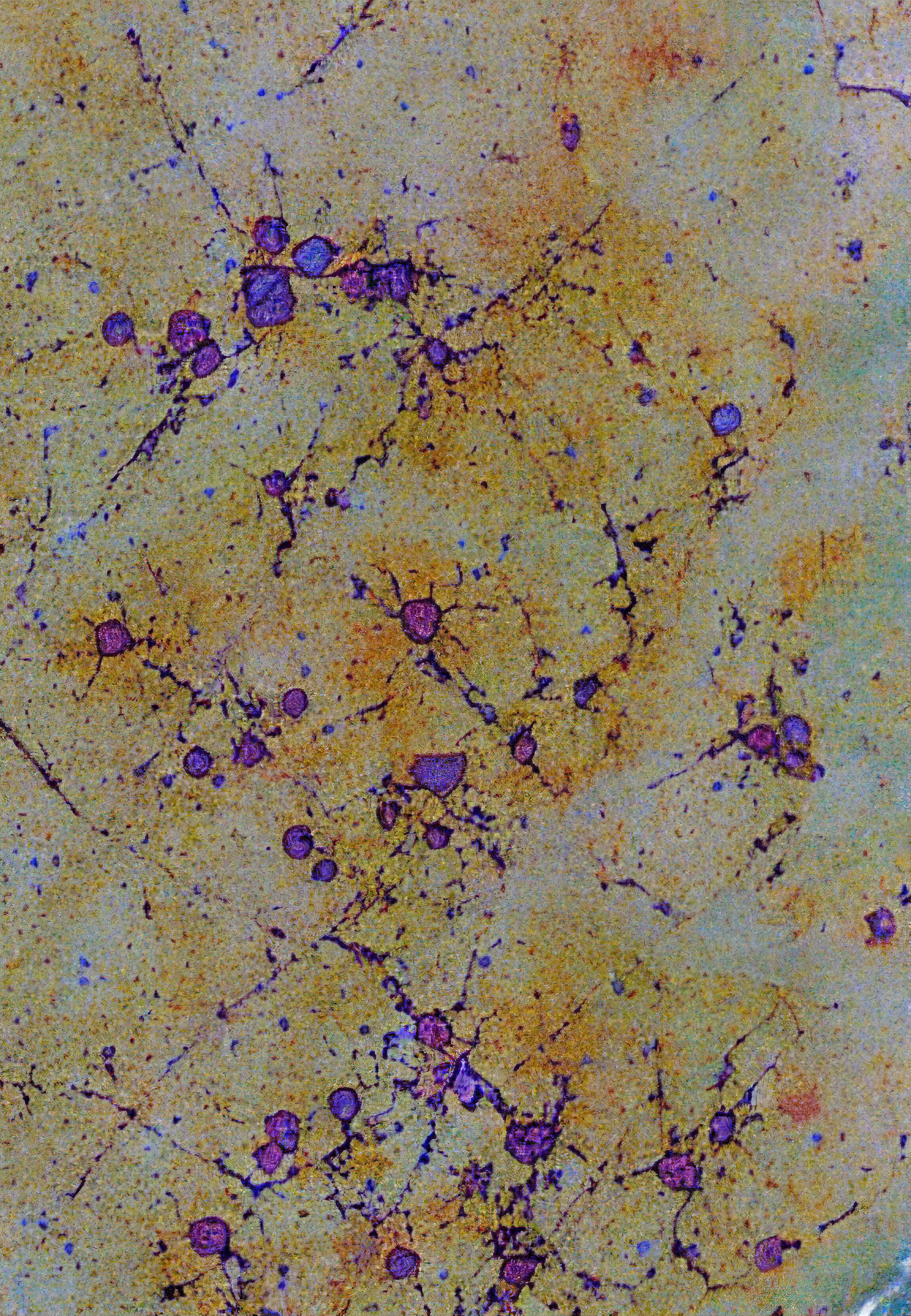 Histologia In Silico #183