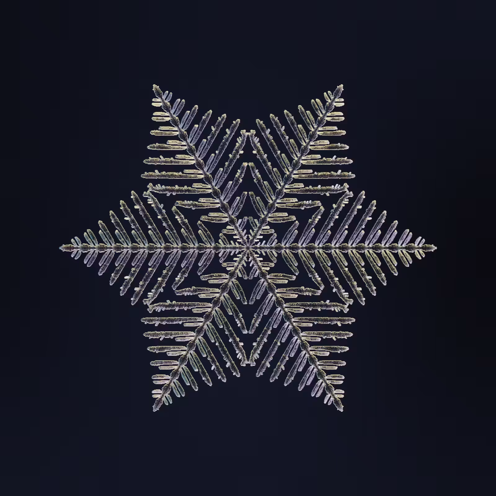 Symmetry and Intricacy #74