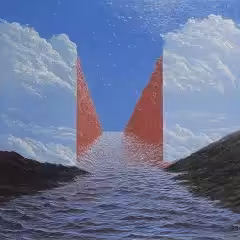#43