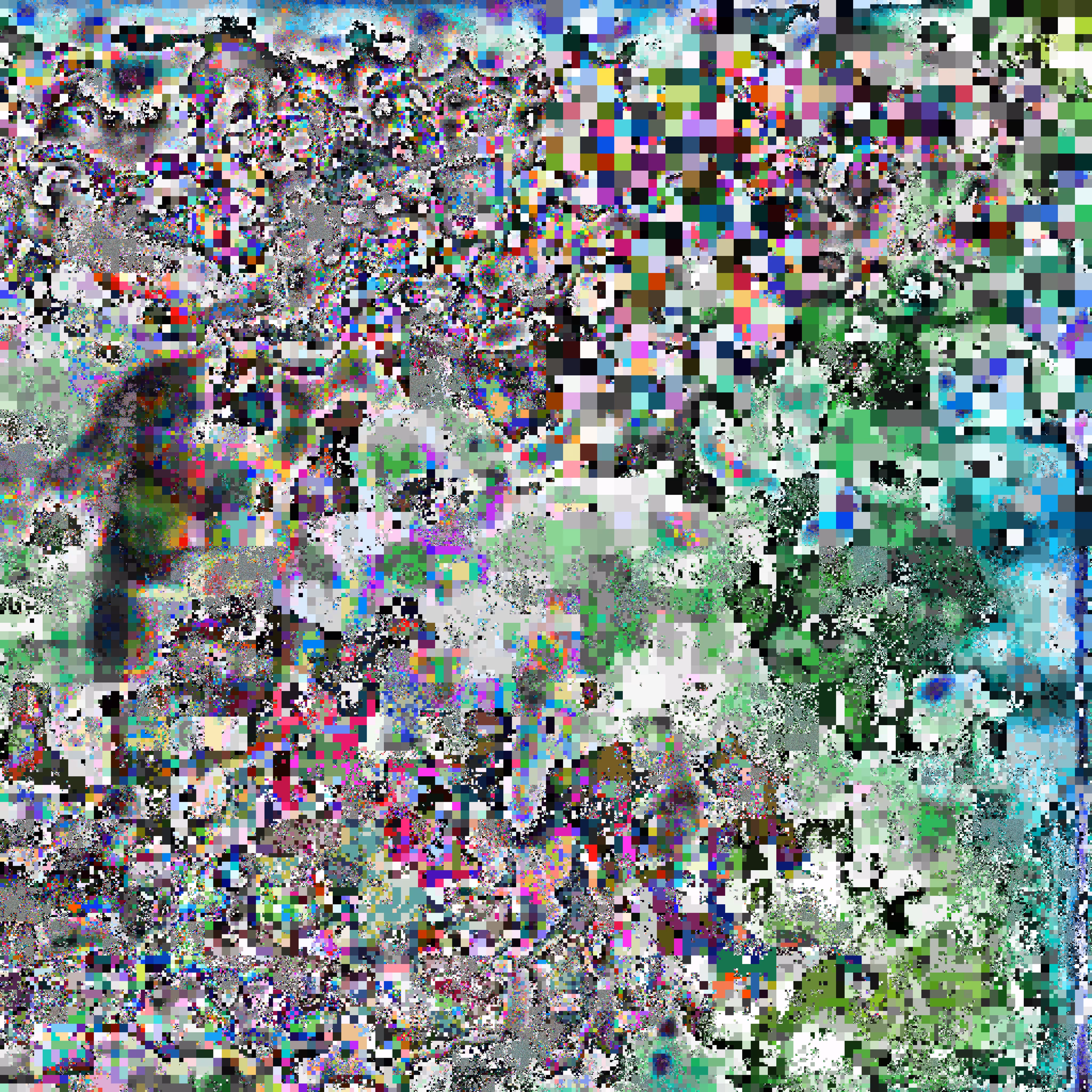 Crowd