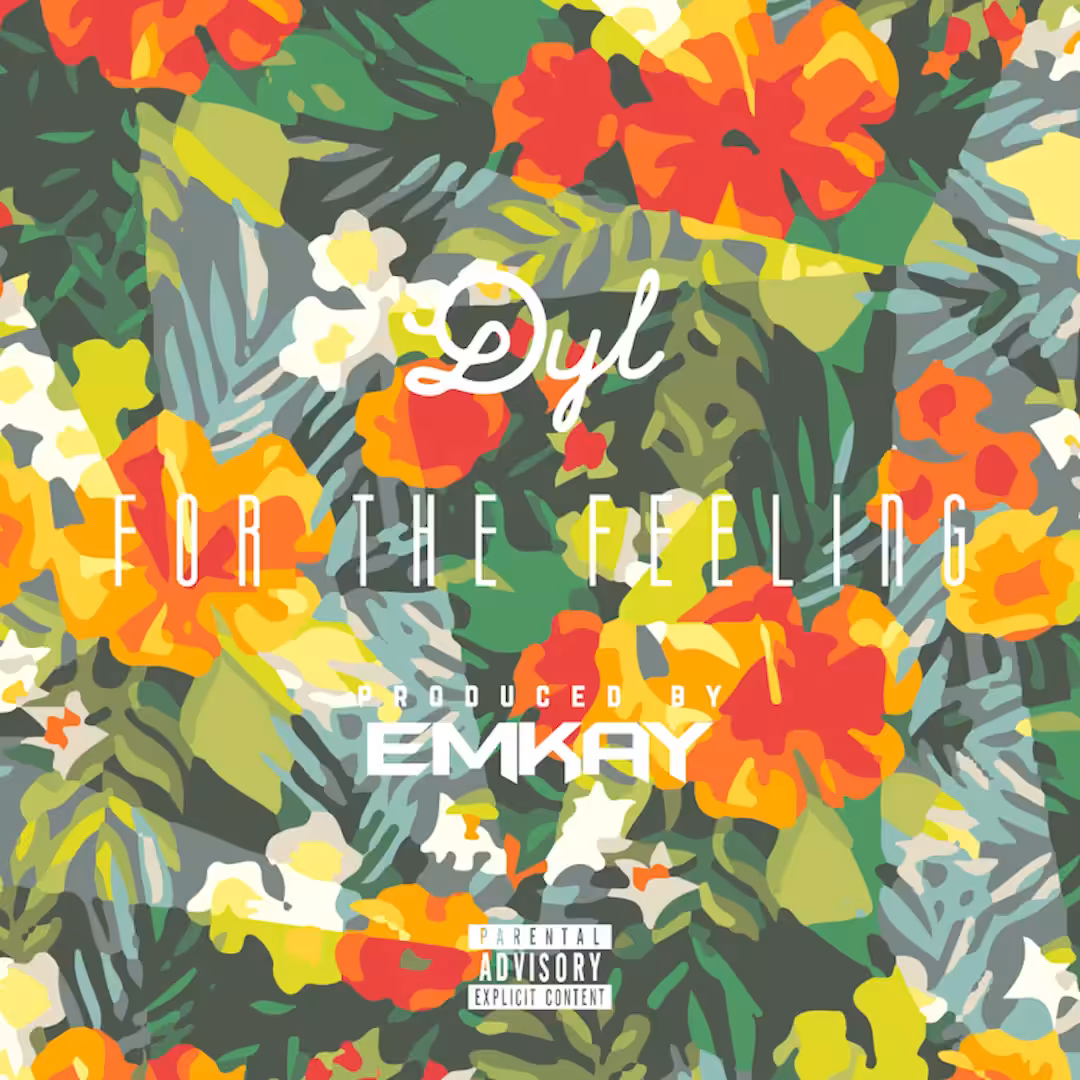 Dyl - For The Feeling