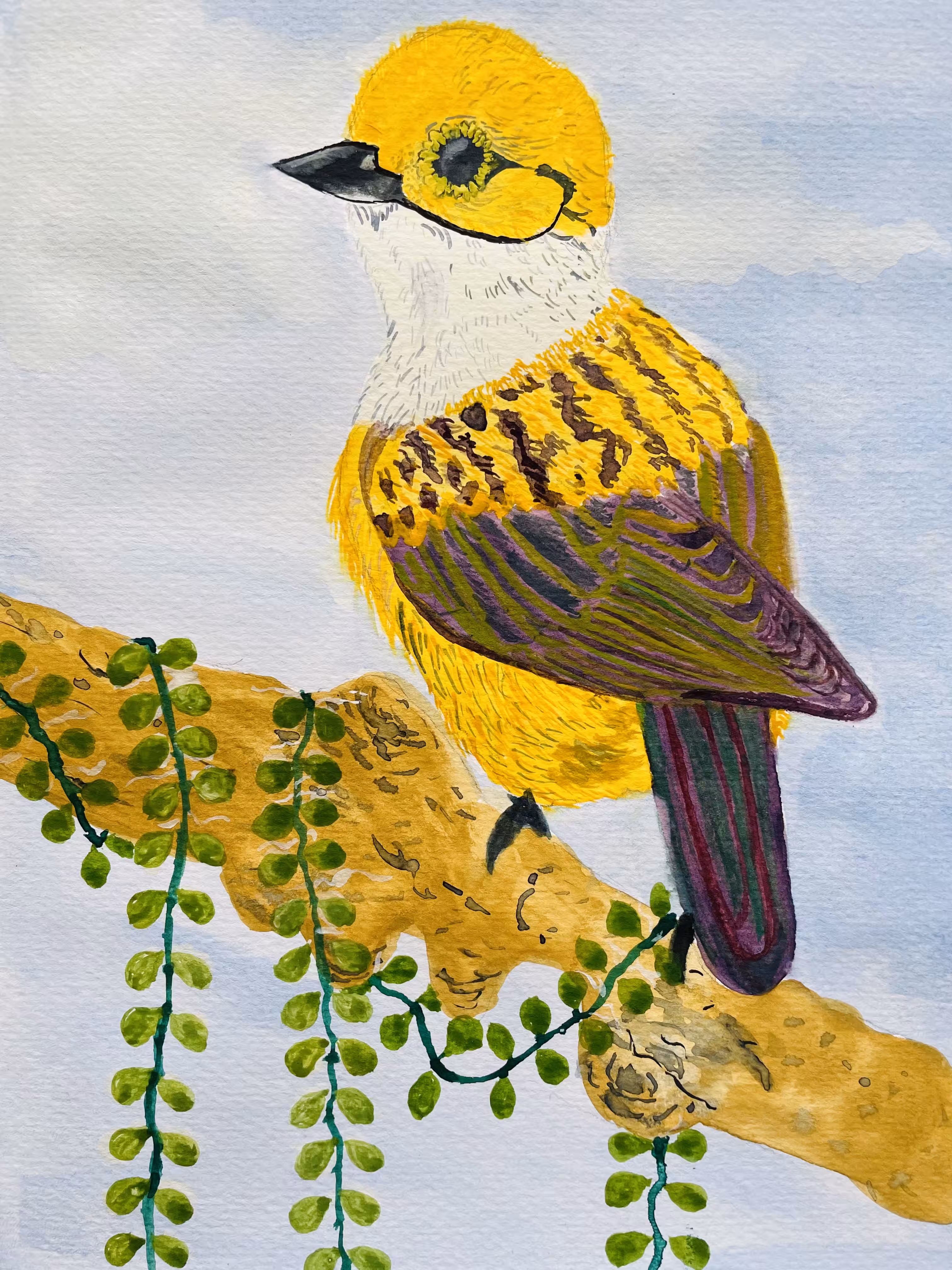 Bird
