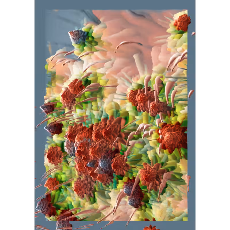 Rococo #116