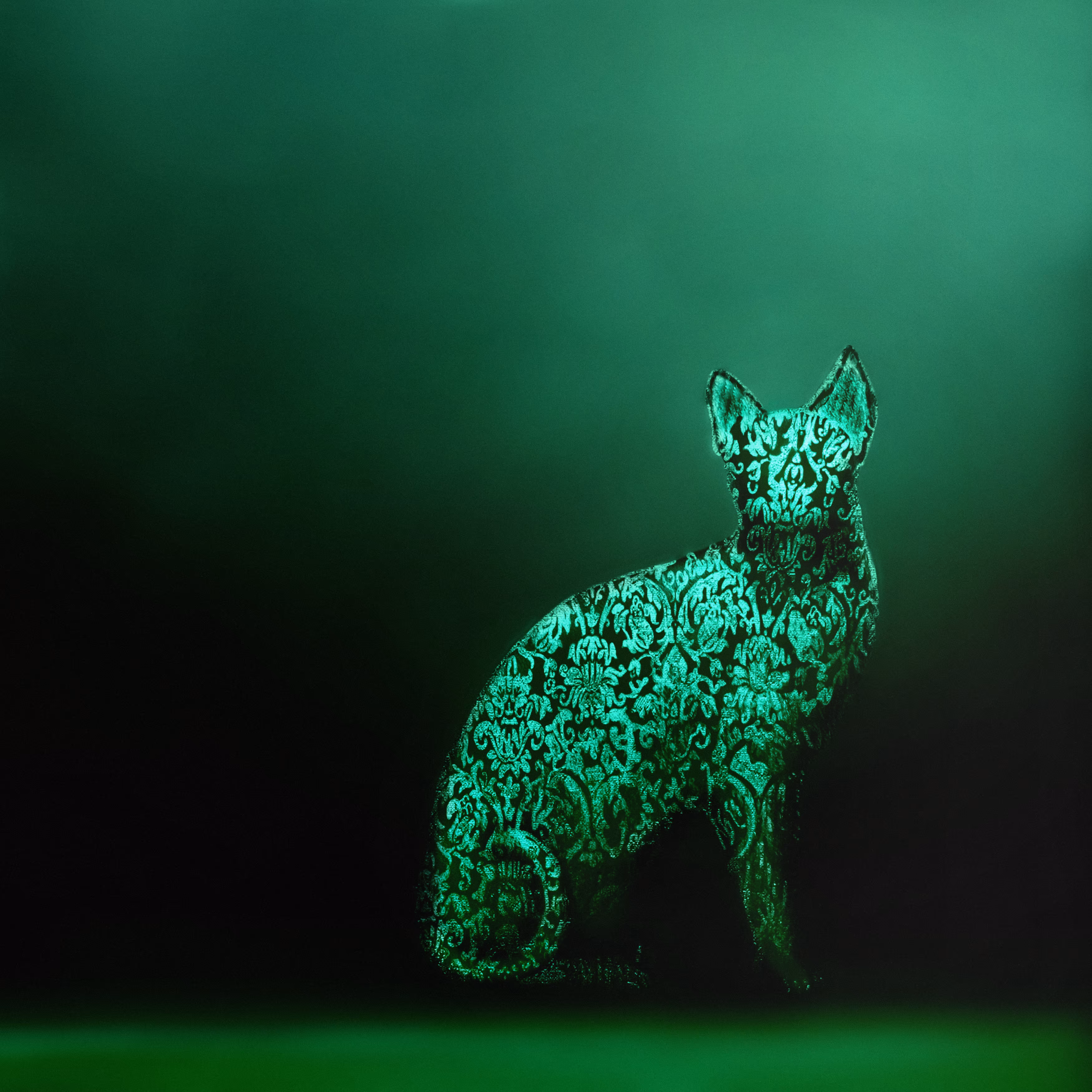 Untitled (or The Feline)