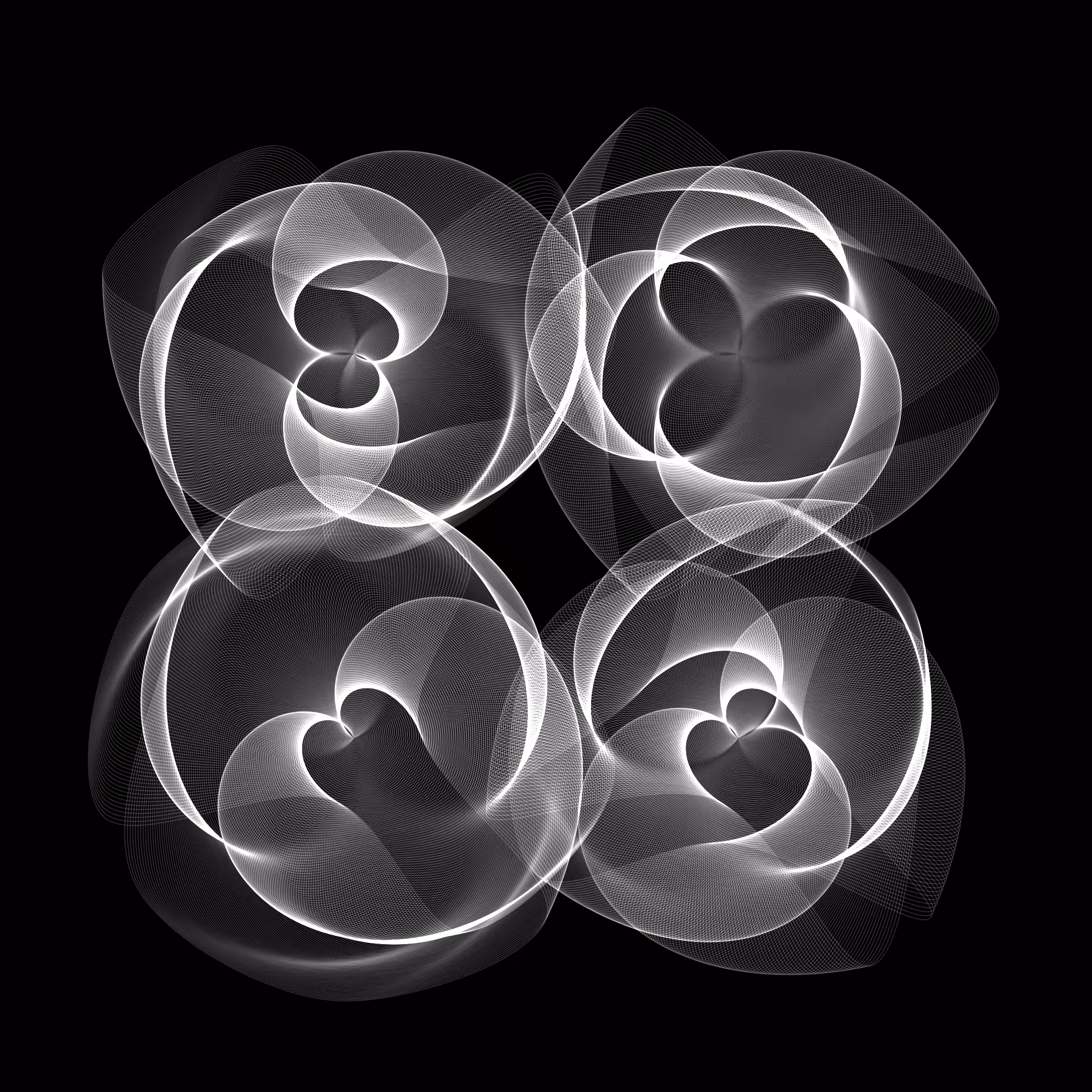 Flowers #5305