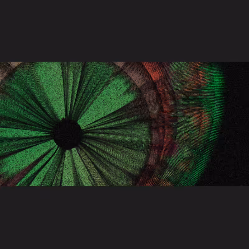 Chameleon #10
