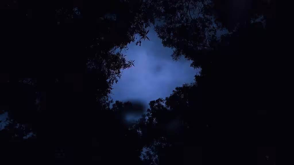 Symphony of the Nakedness of Wind, Rain, and Trees