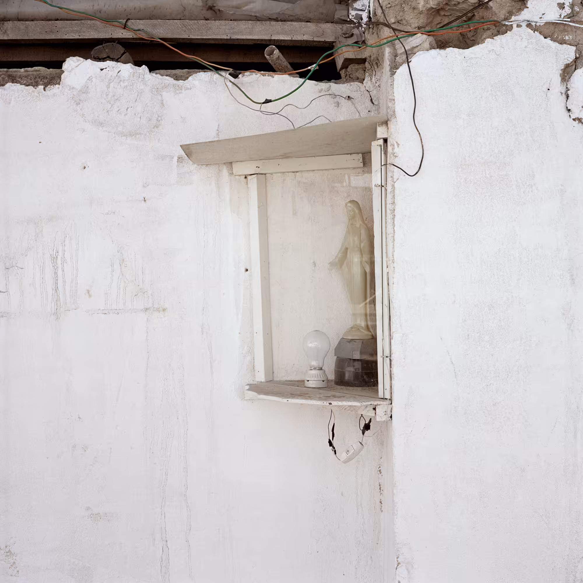 Dog Days, Bogotá #42