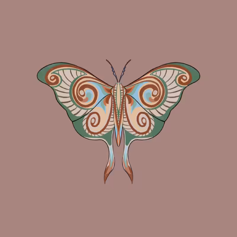 The Moth Experiment 2.0 P2 #3