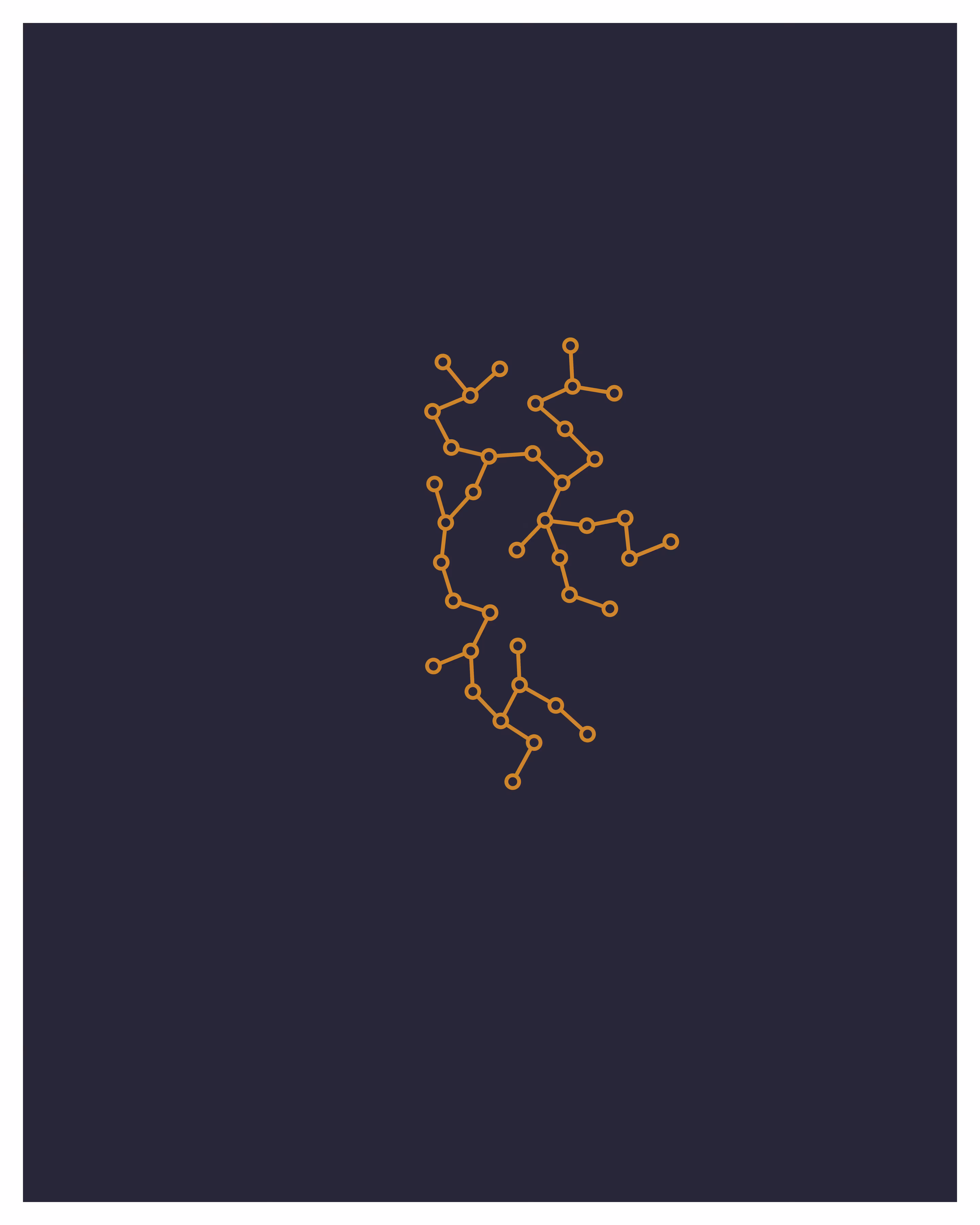 Networks #33