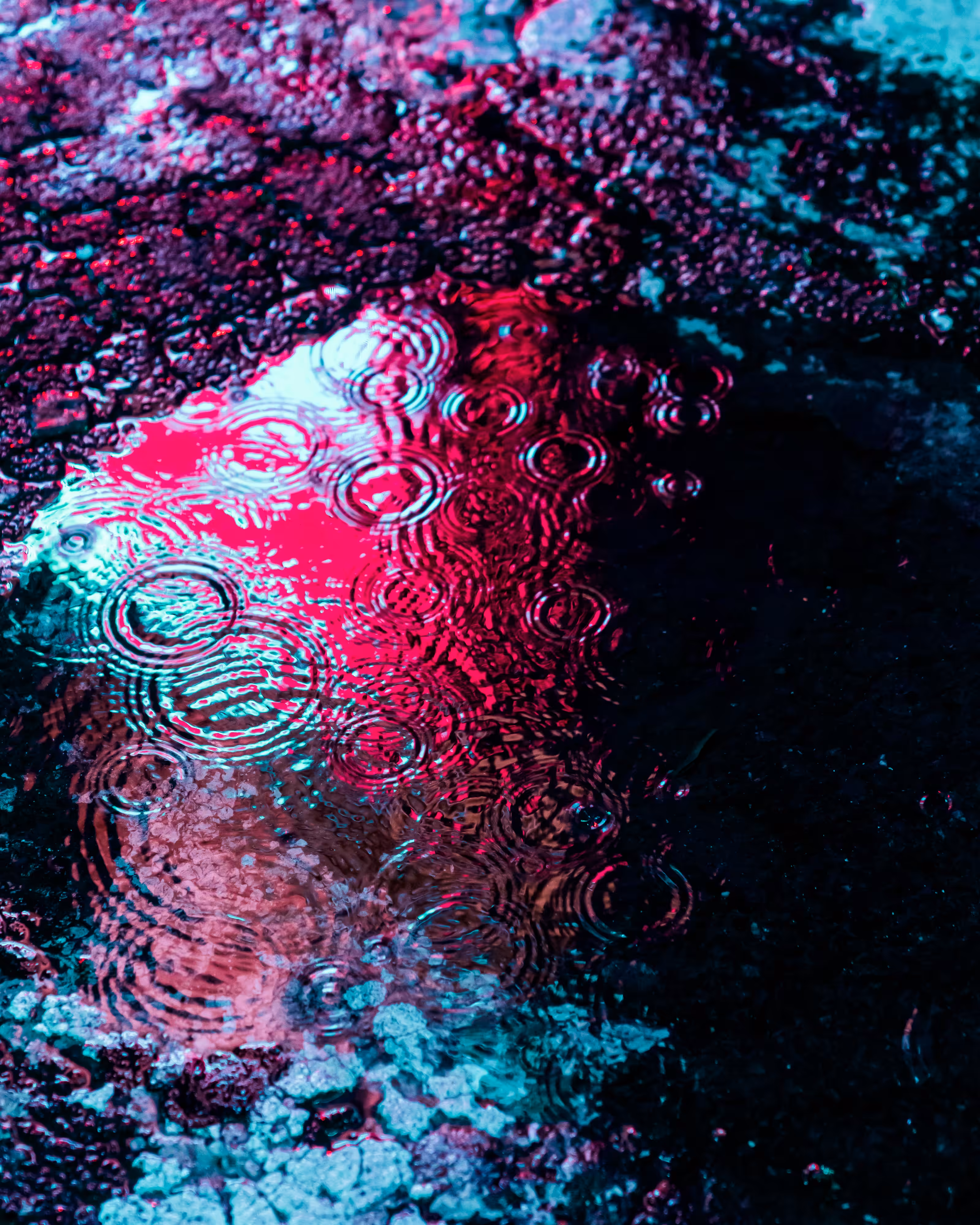 DRIP DROP: DRIP #631