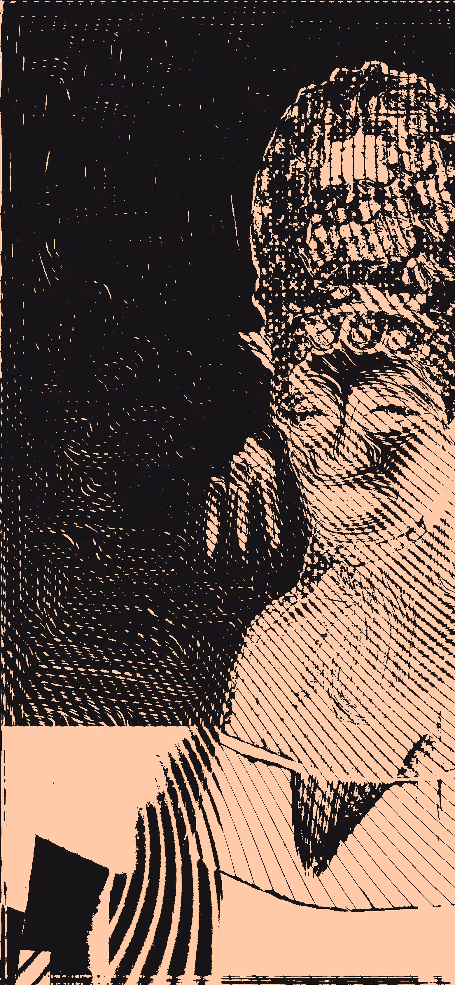 Signora Z 0170