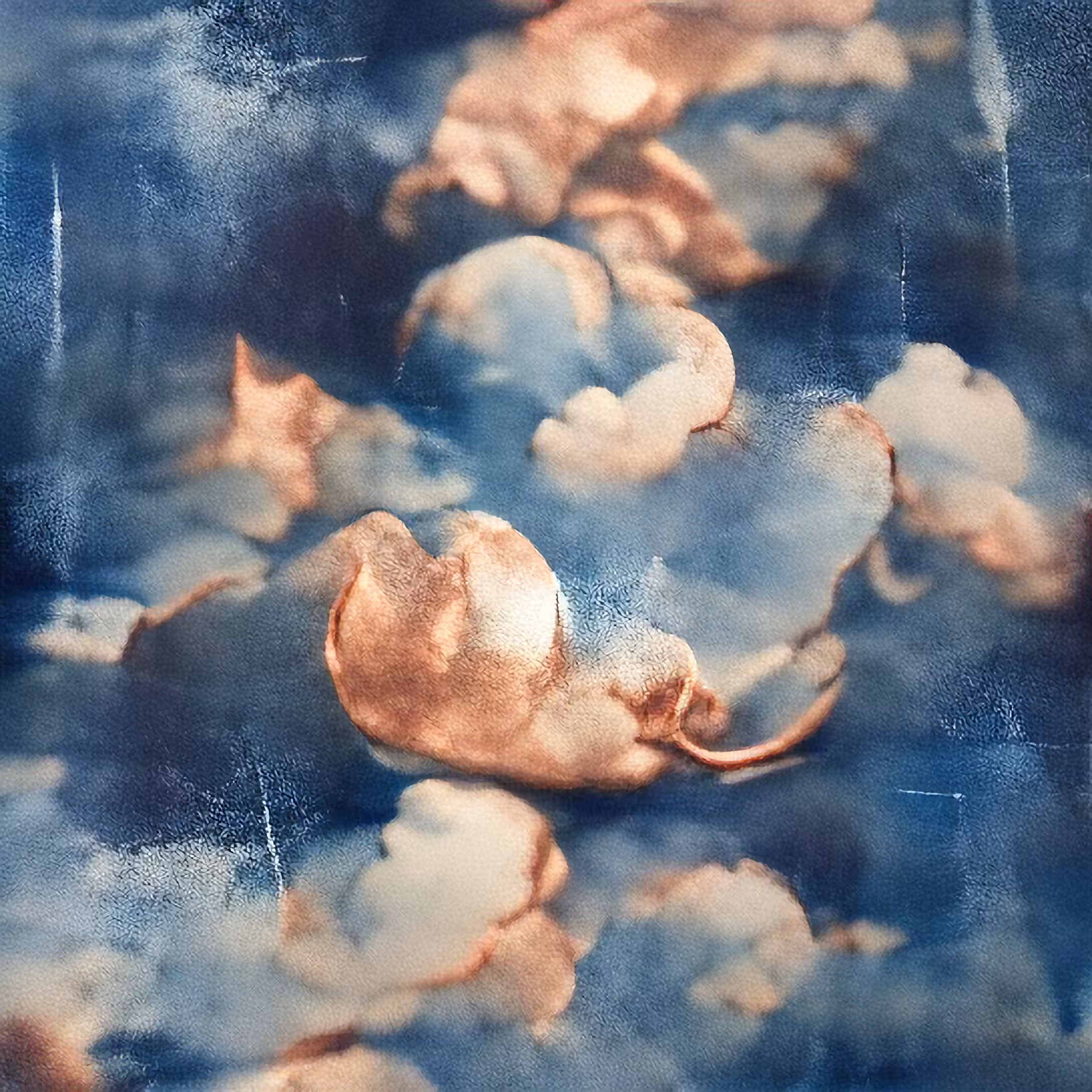Rose gold clouds|