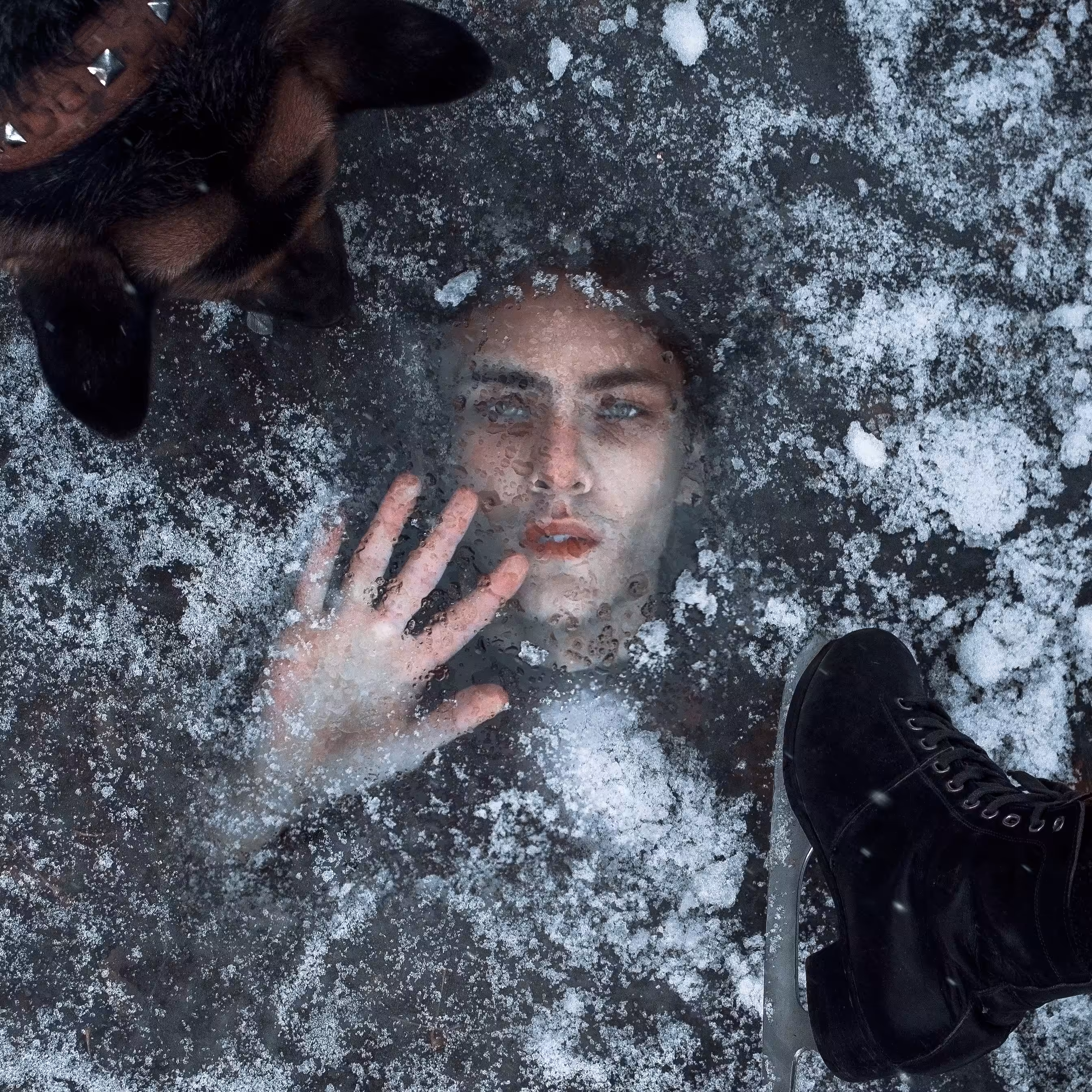 Frozen