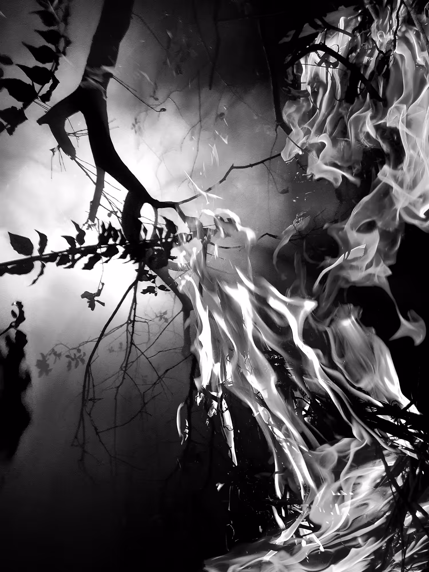 Multiple Exposure Halloween