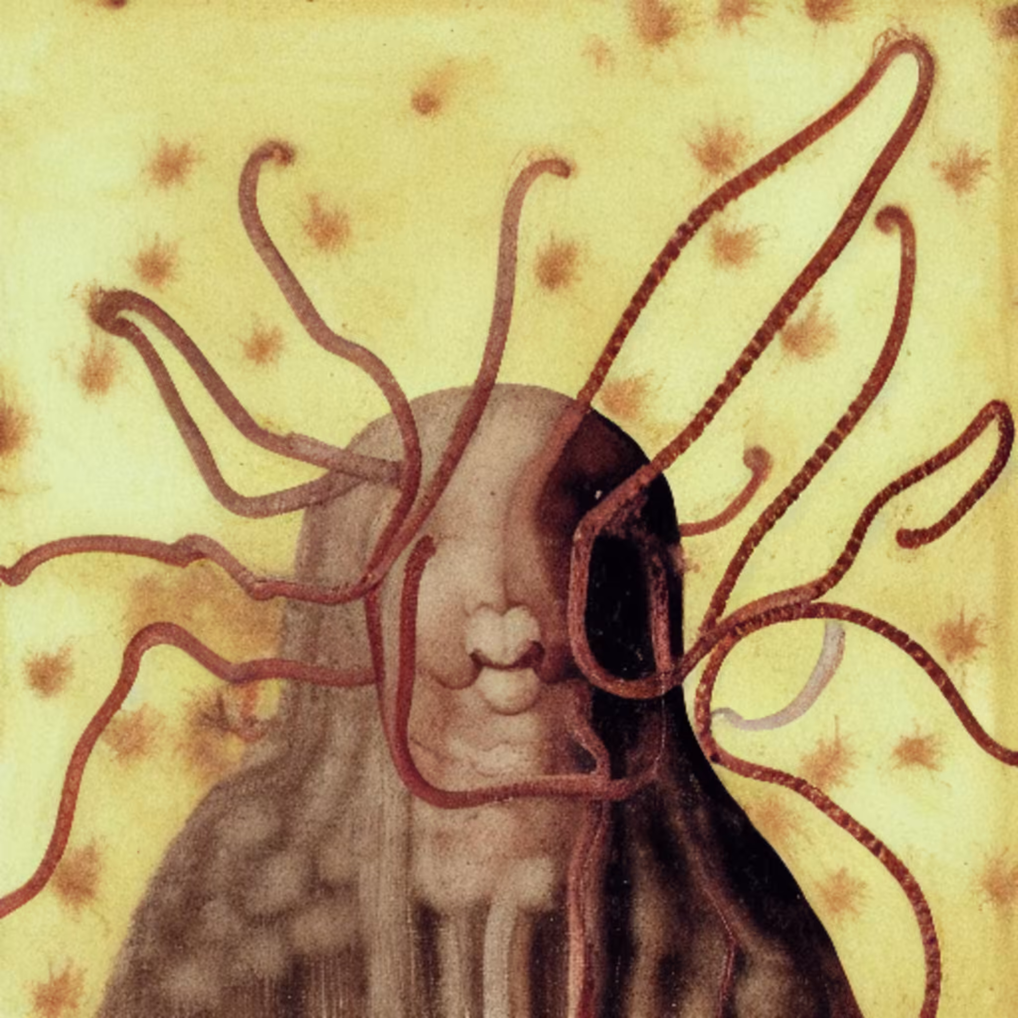 The Oracles #548
