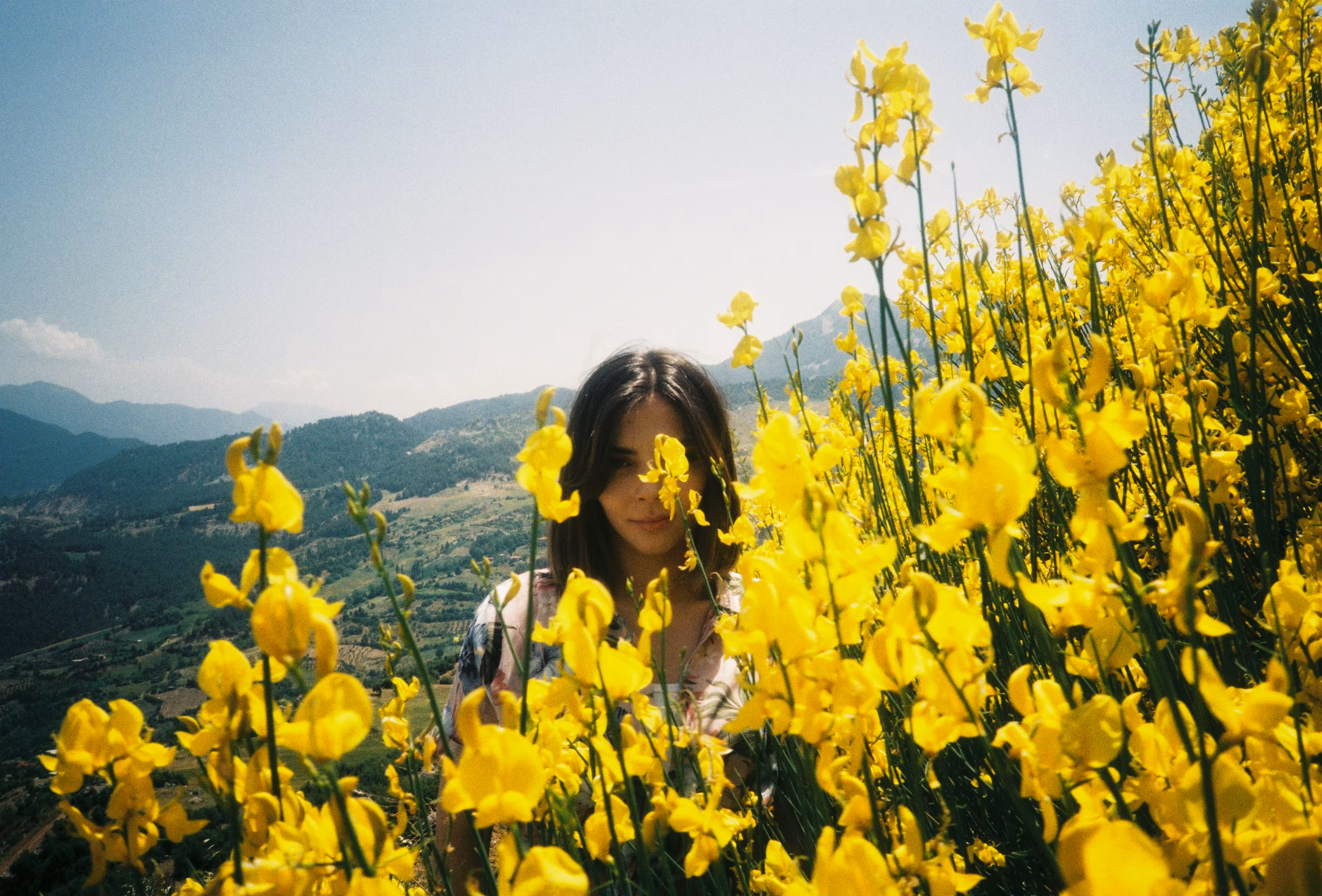 #Page 1: Yellow Flowers