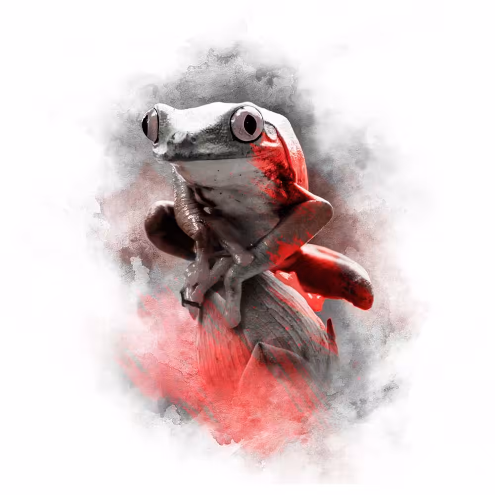RED SERIES - TREE FROG