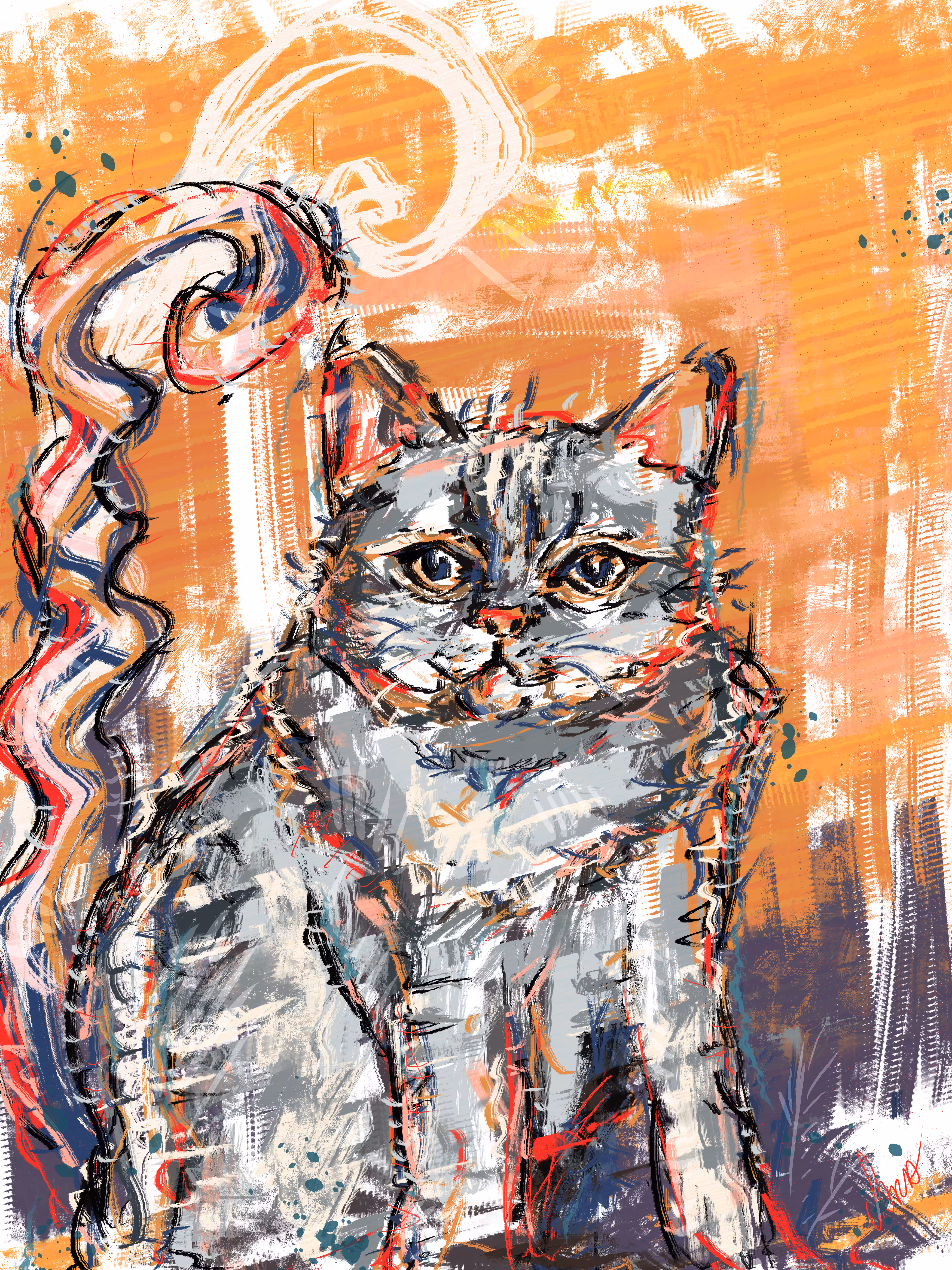 Fluffy Cat