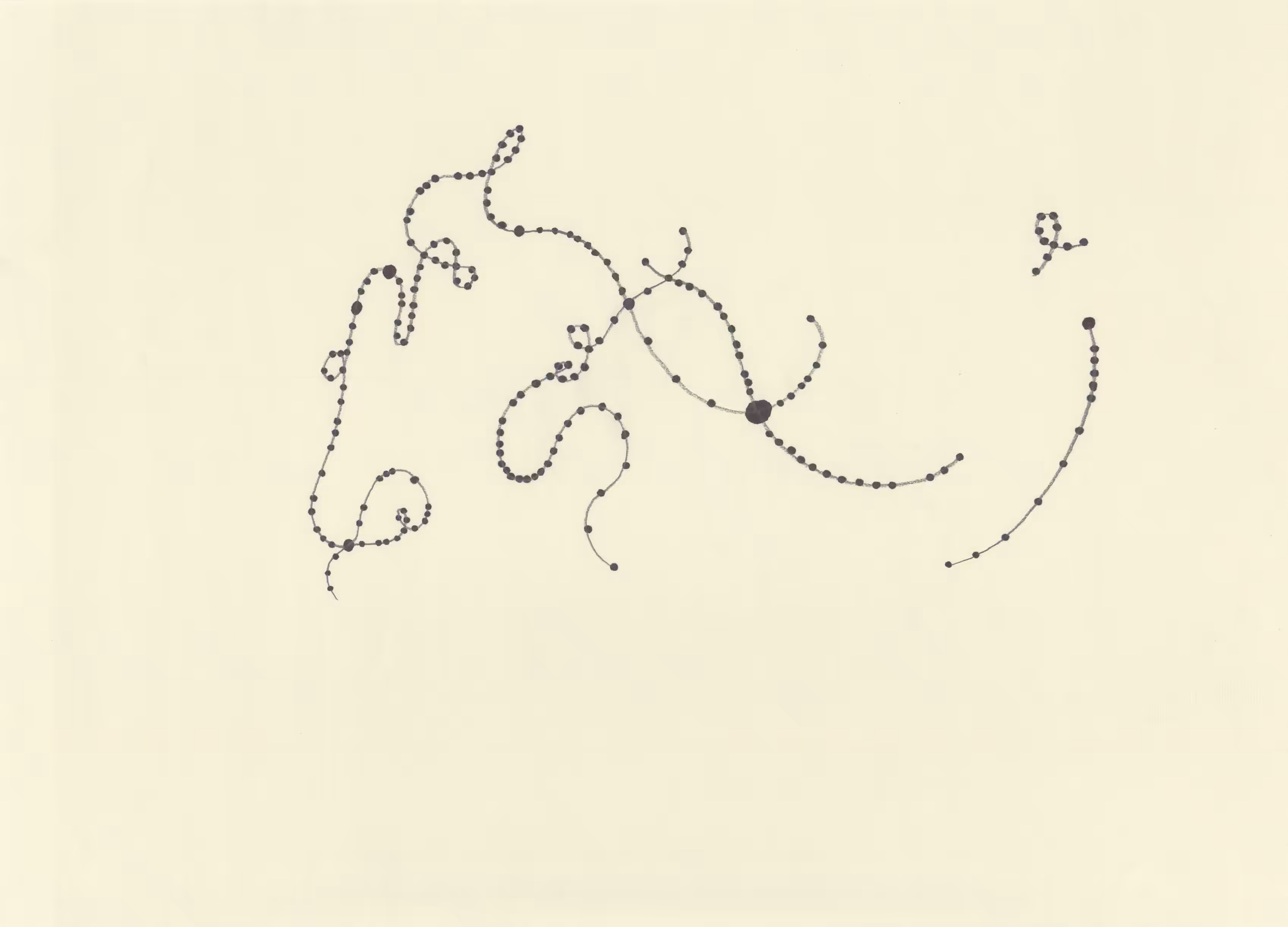 wind 2