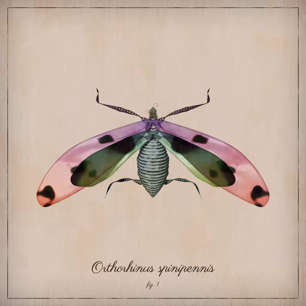 ProcGen Entomology #10