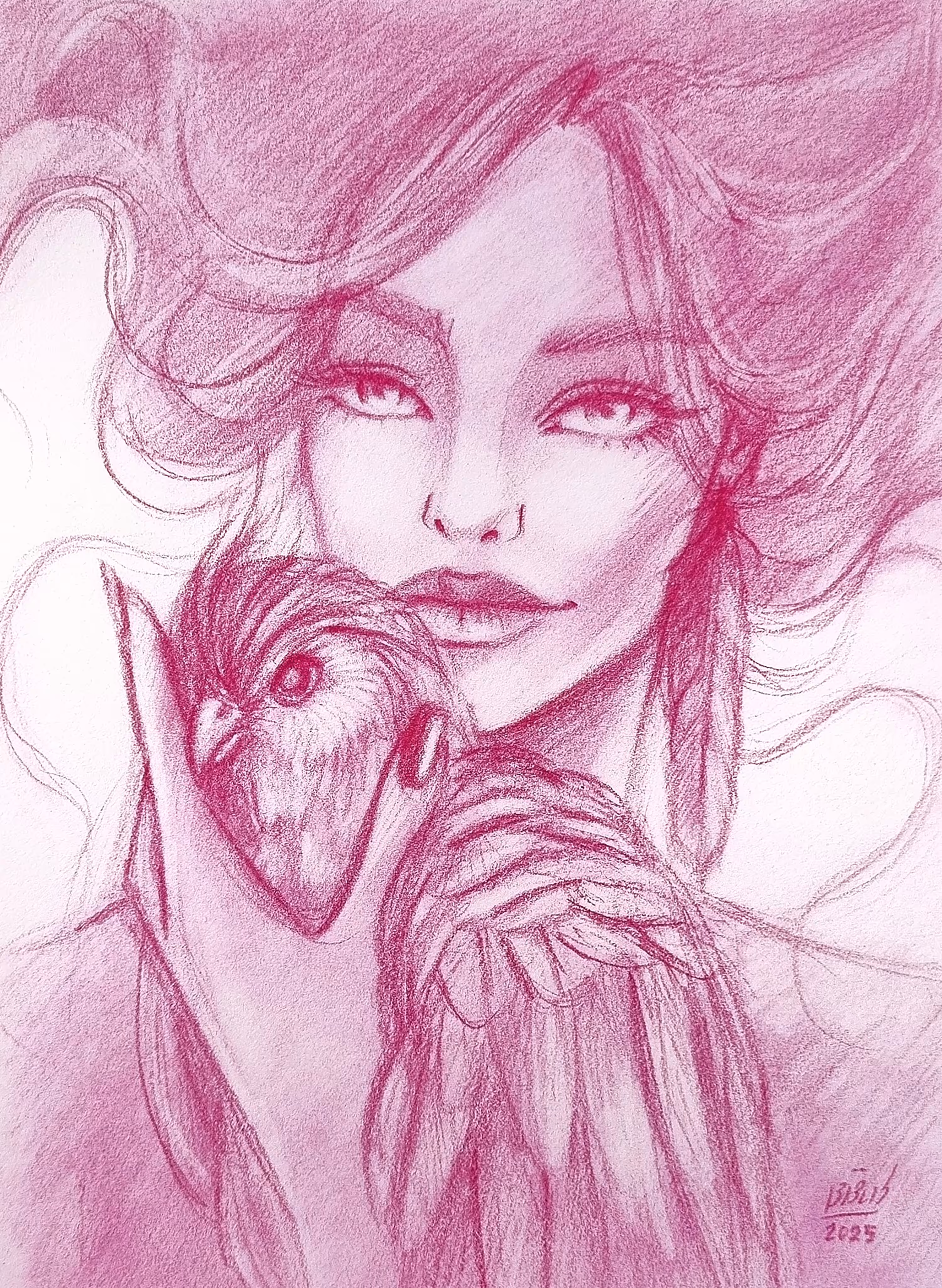 Bird Of Paradise