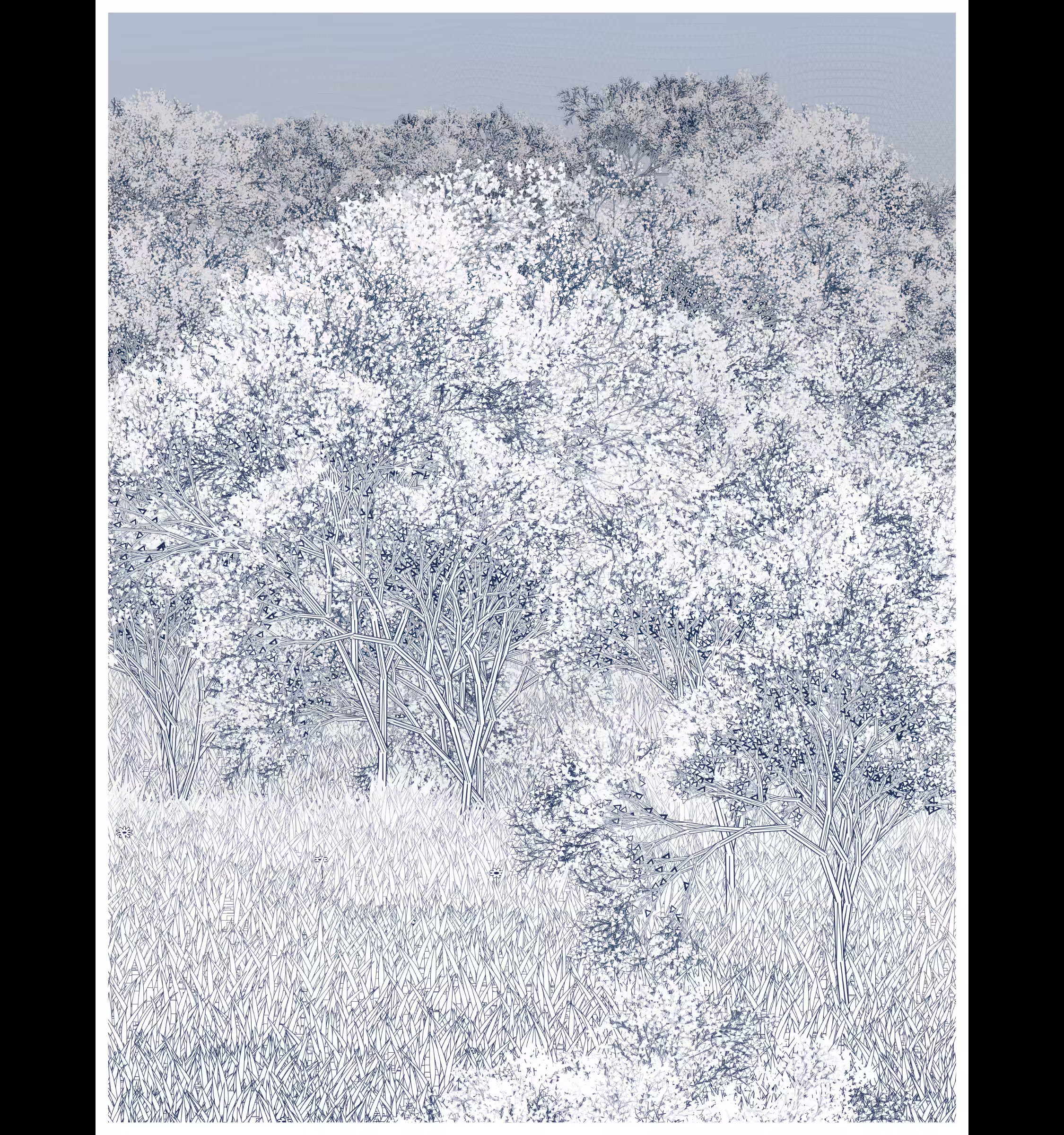Natural order.chaos #6