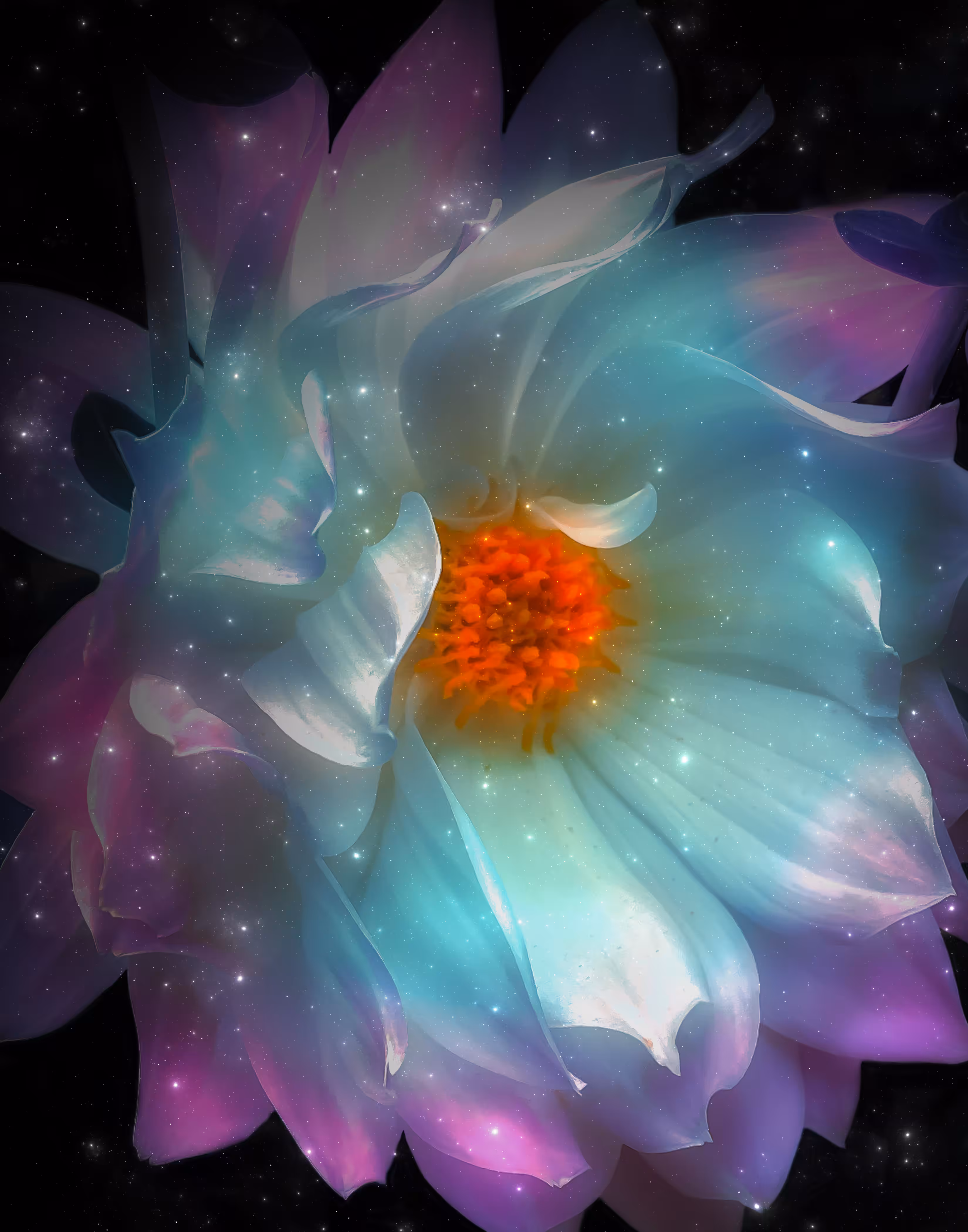 COSMIC BLOOM 02